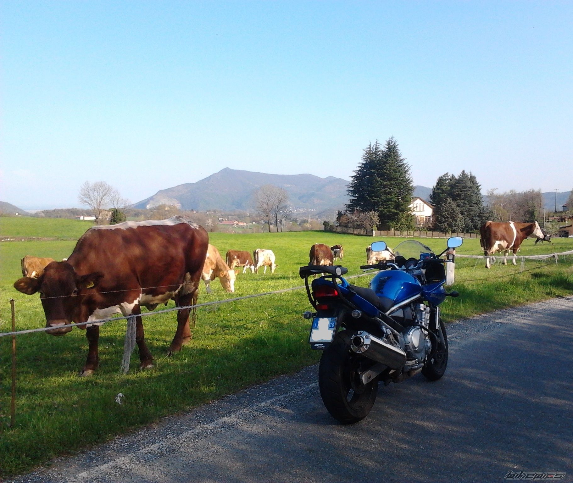 Photo 2659294