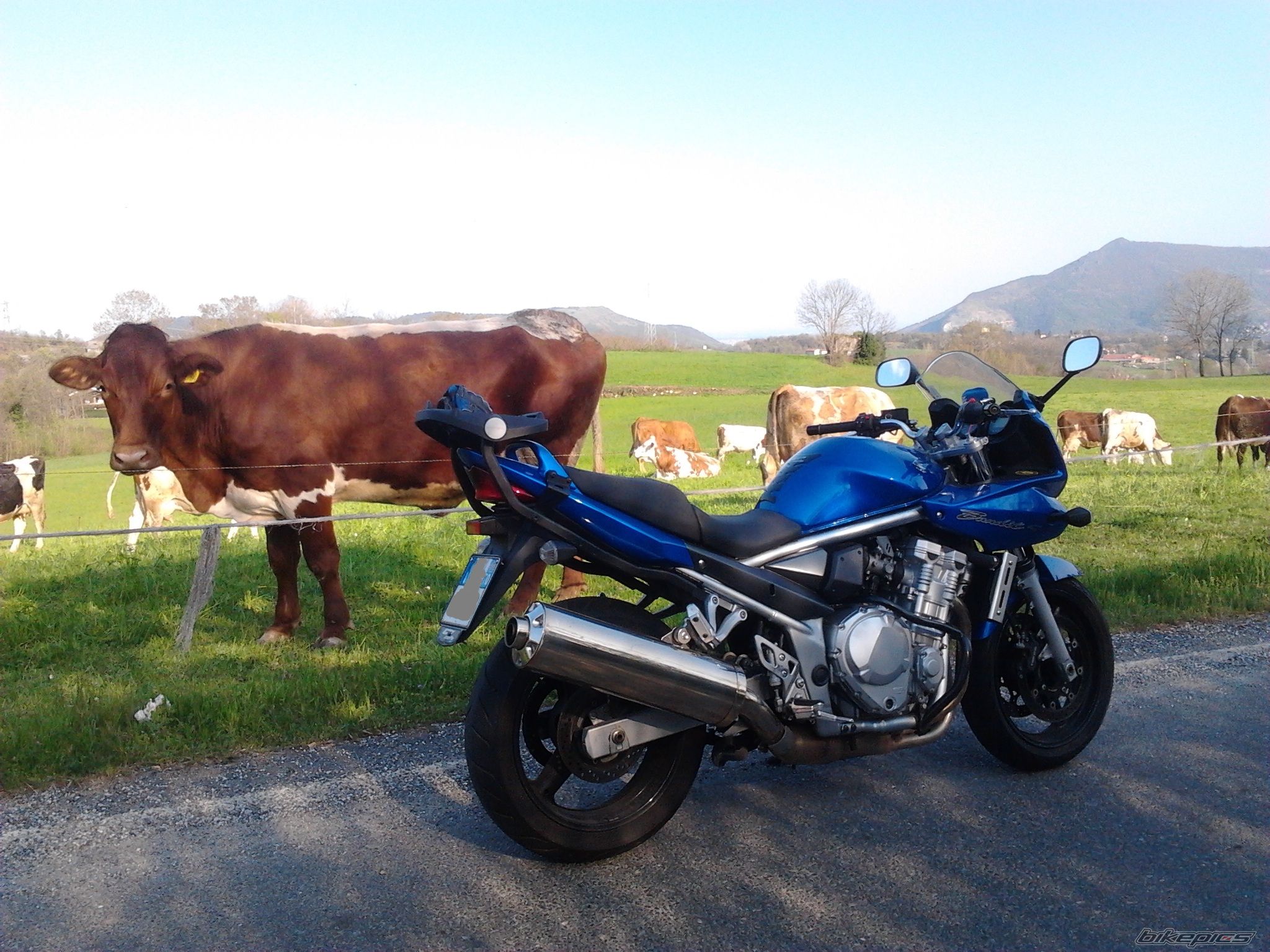 Bike Photo 2659295