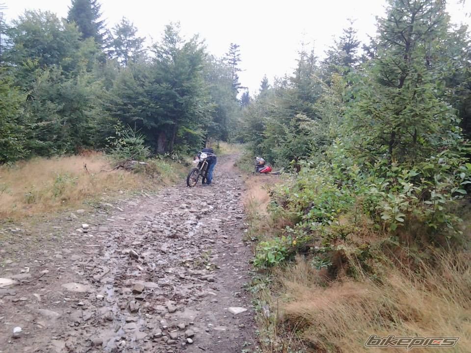 Photo 2659327