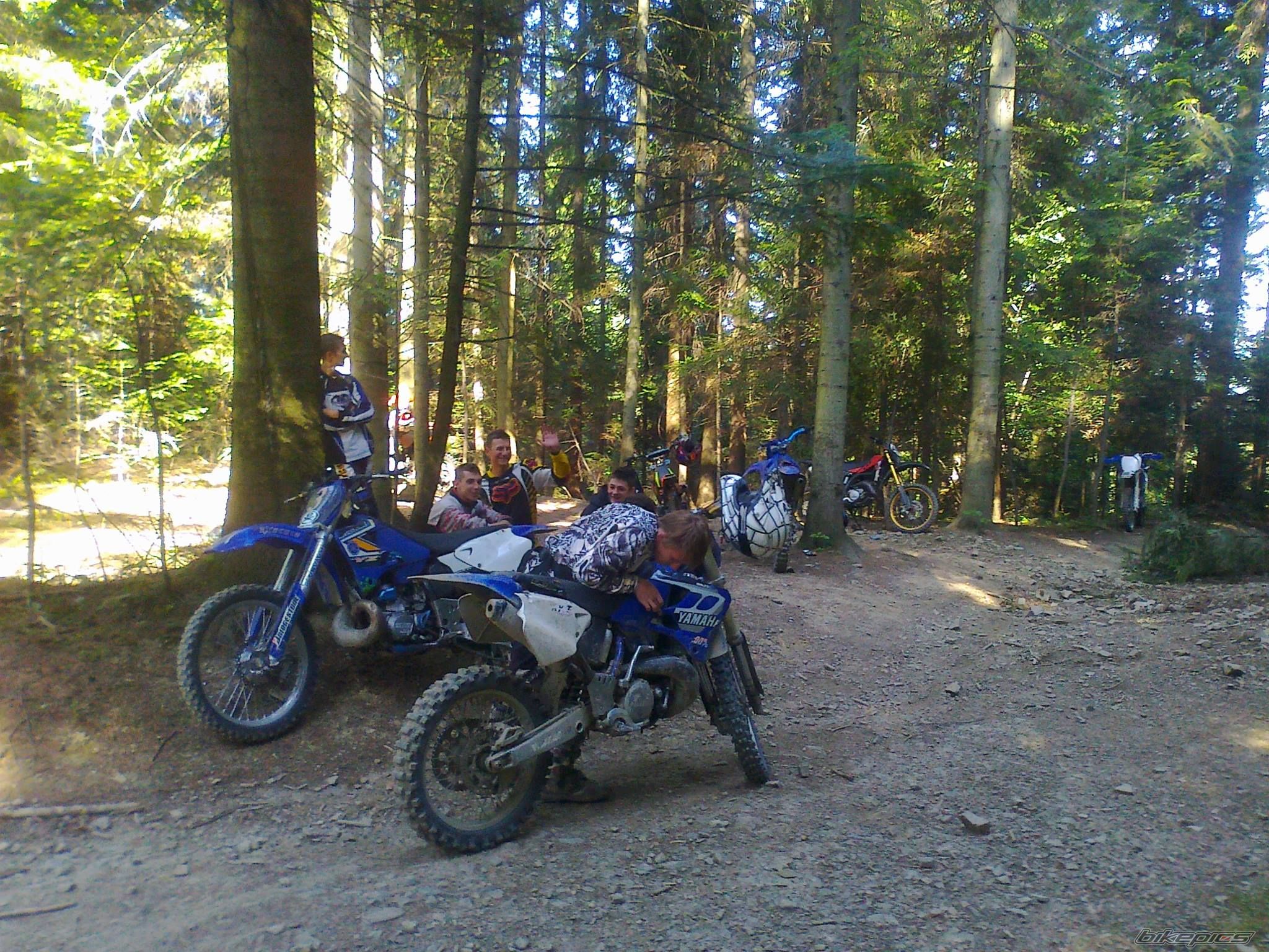 Photo 2659332