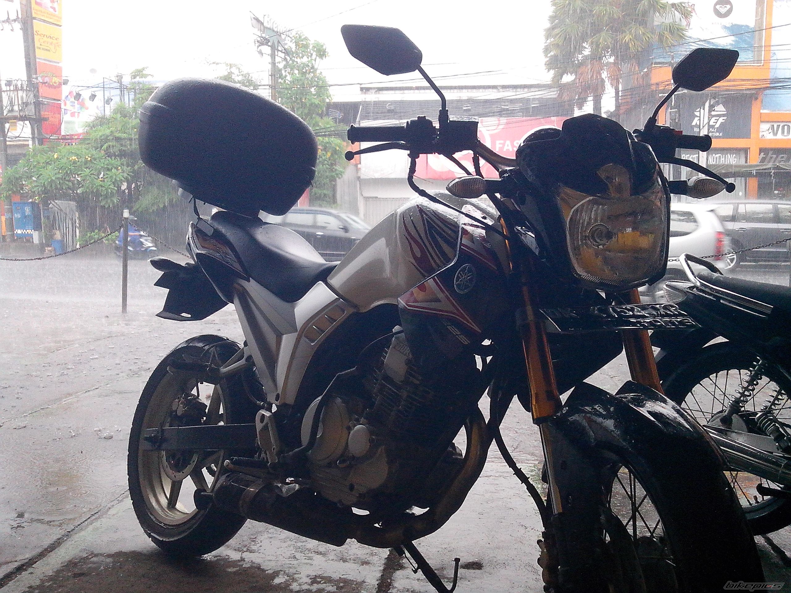 Photo 2659413
