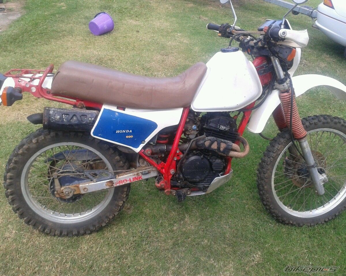 Photo 2659425