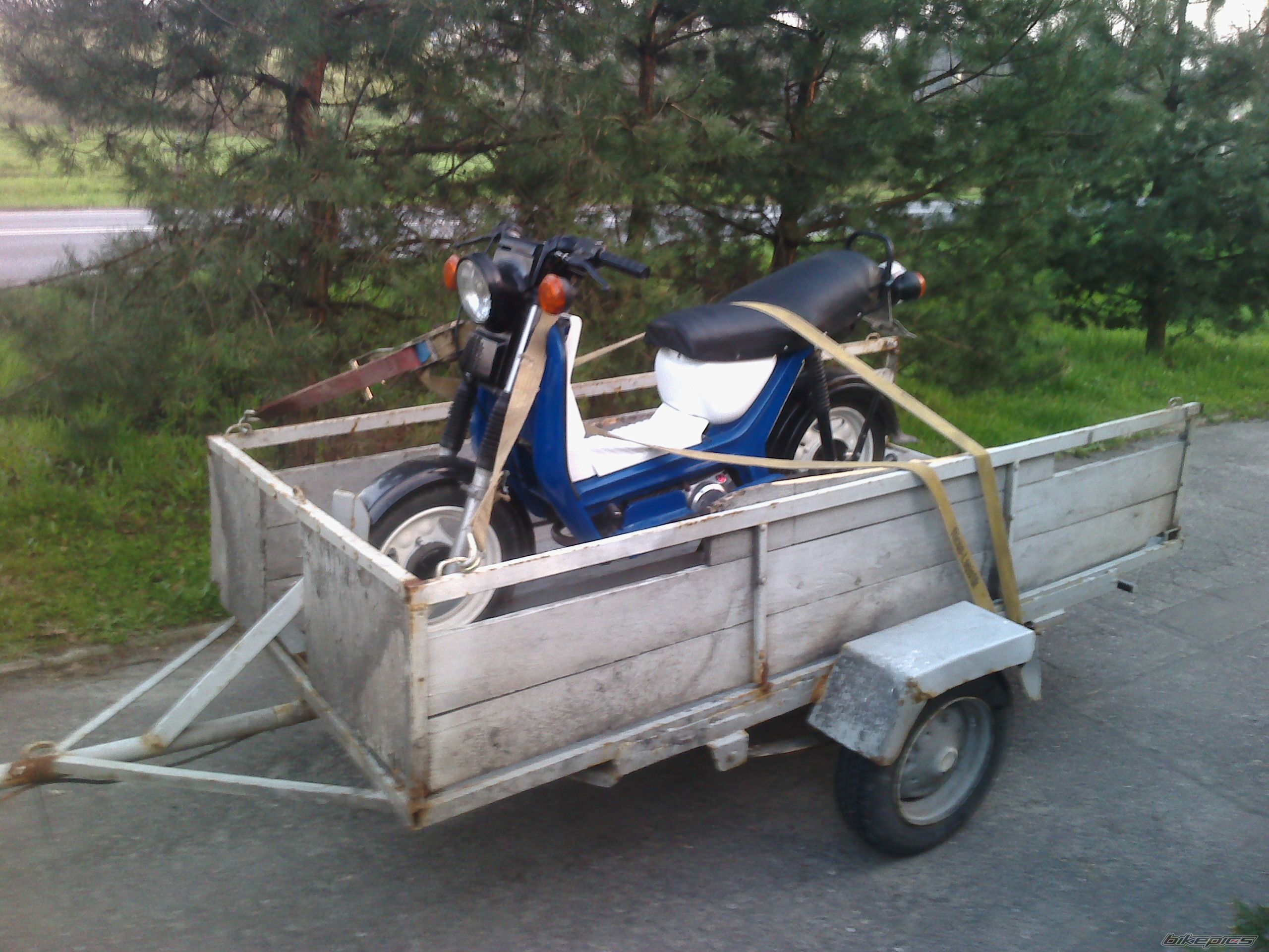 Photo 2659483