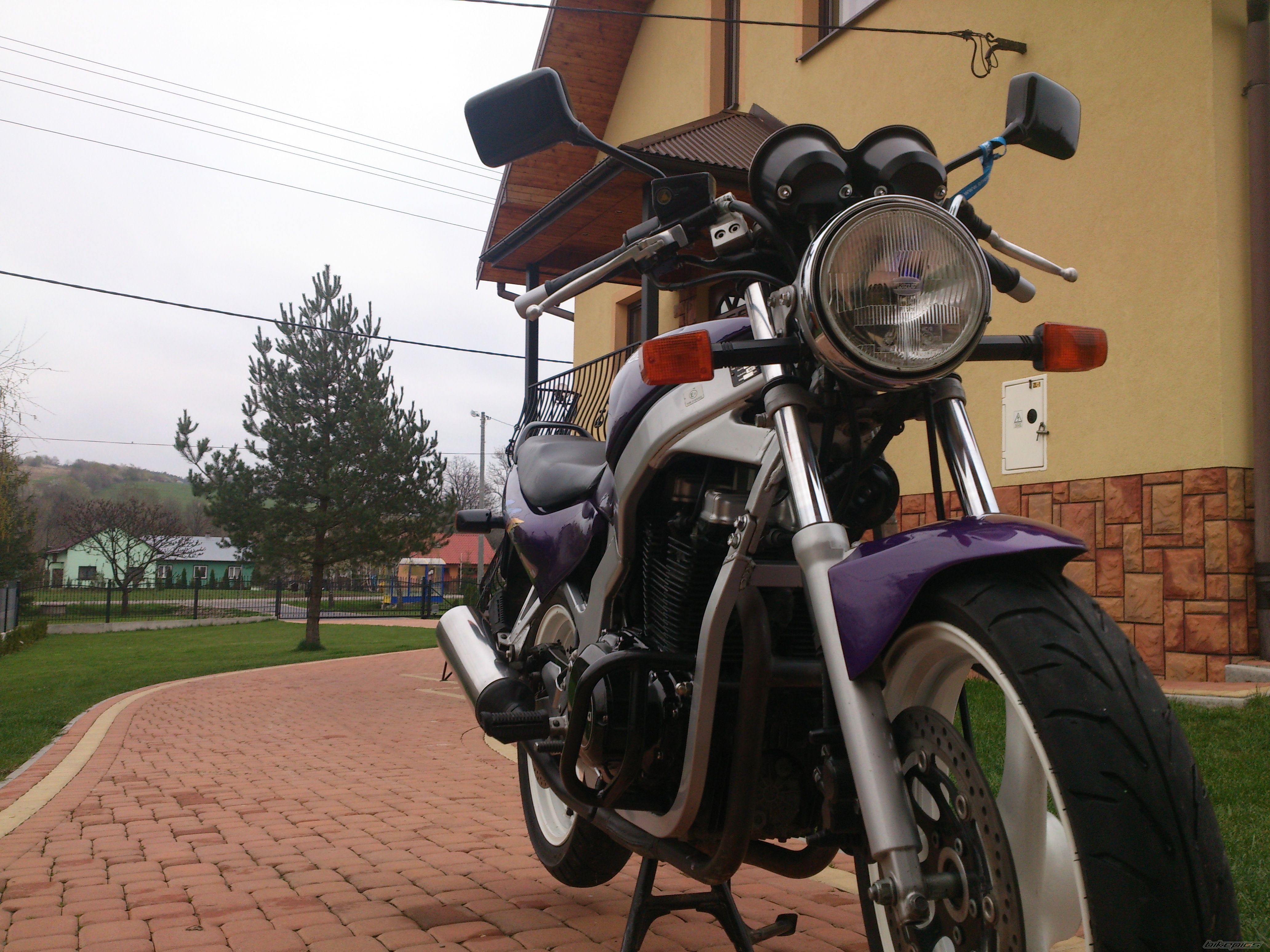 Photo 2659519
