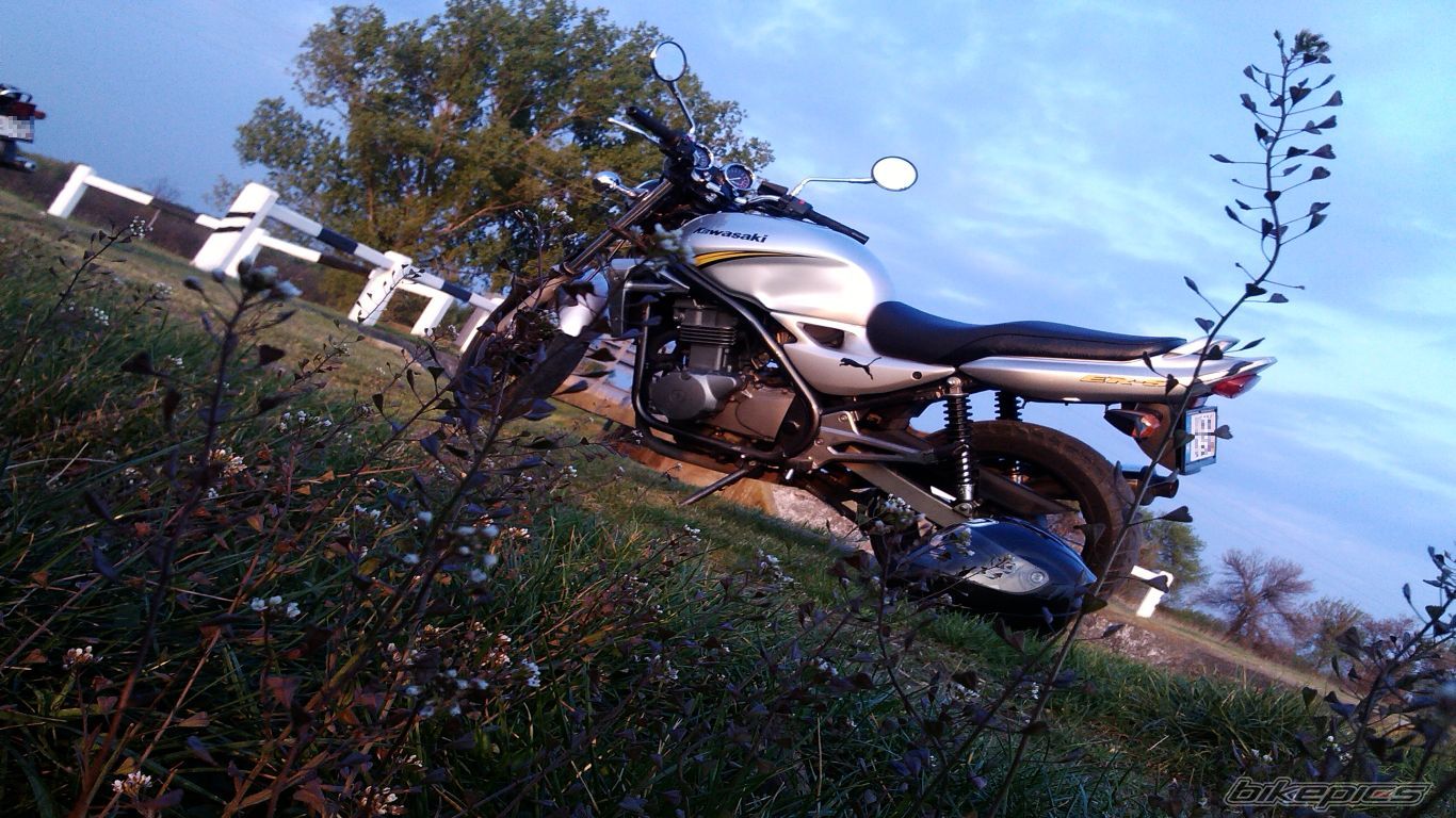 Photo 2659574