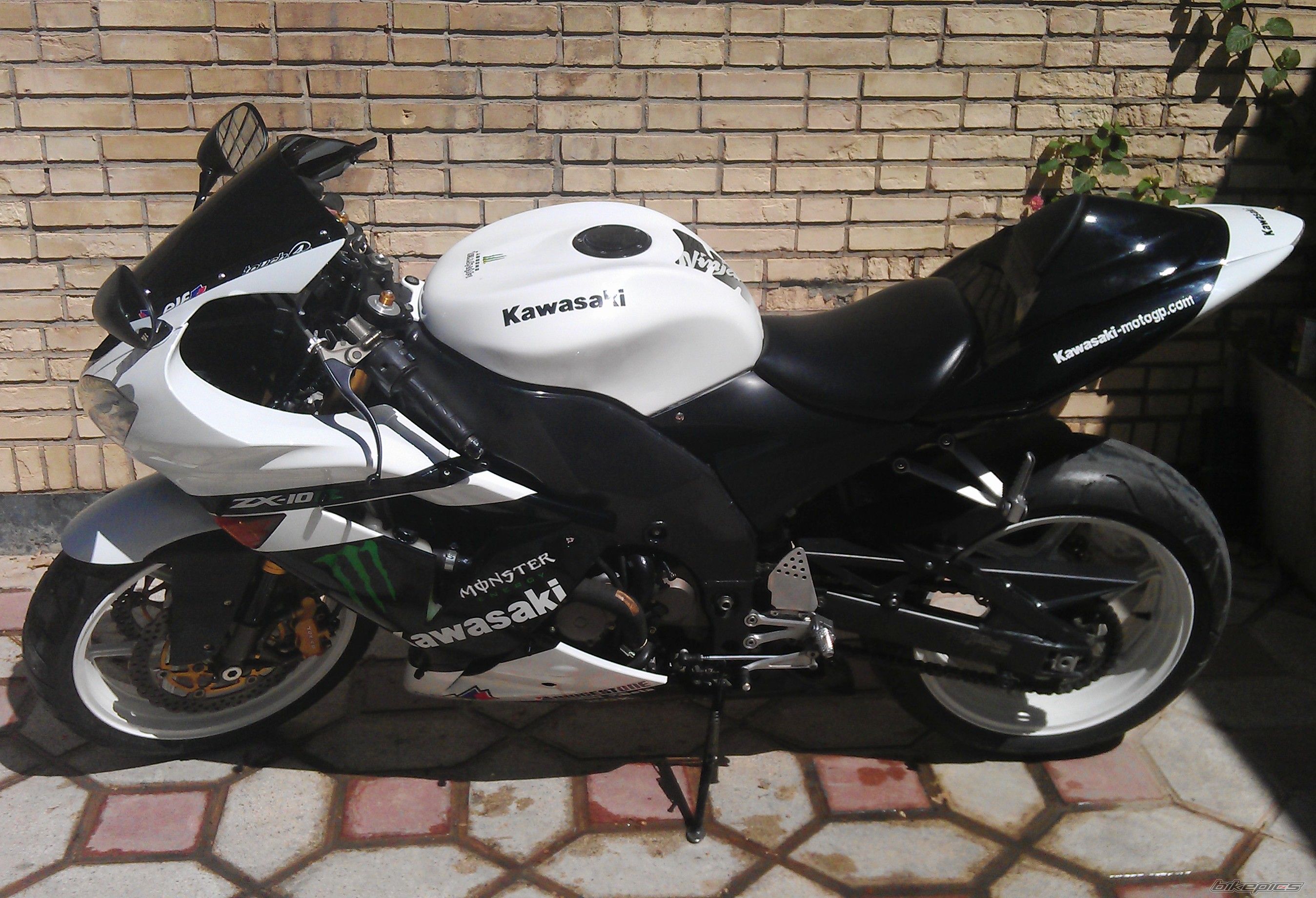 Photo 2659586