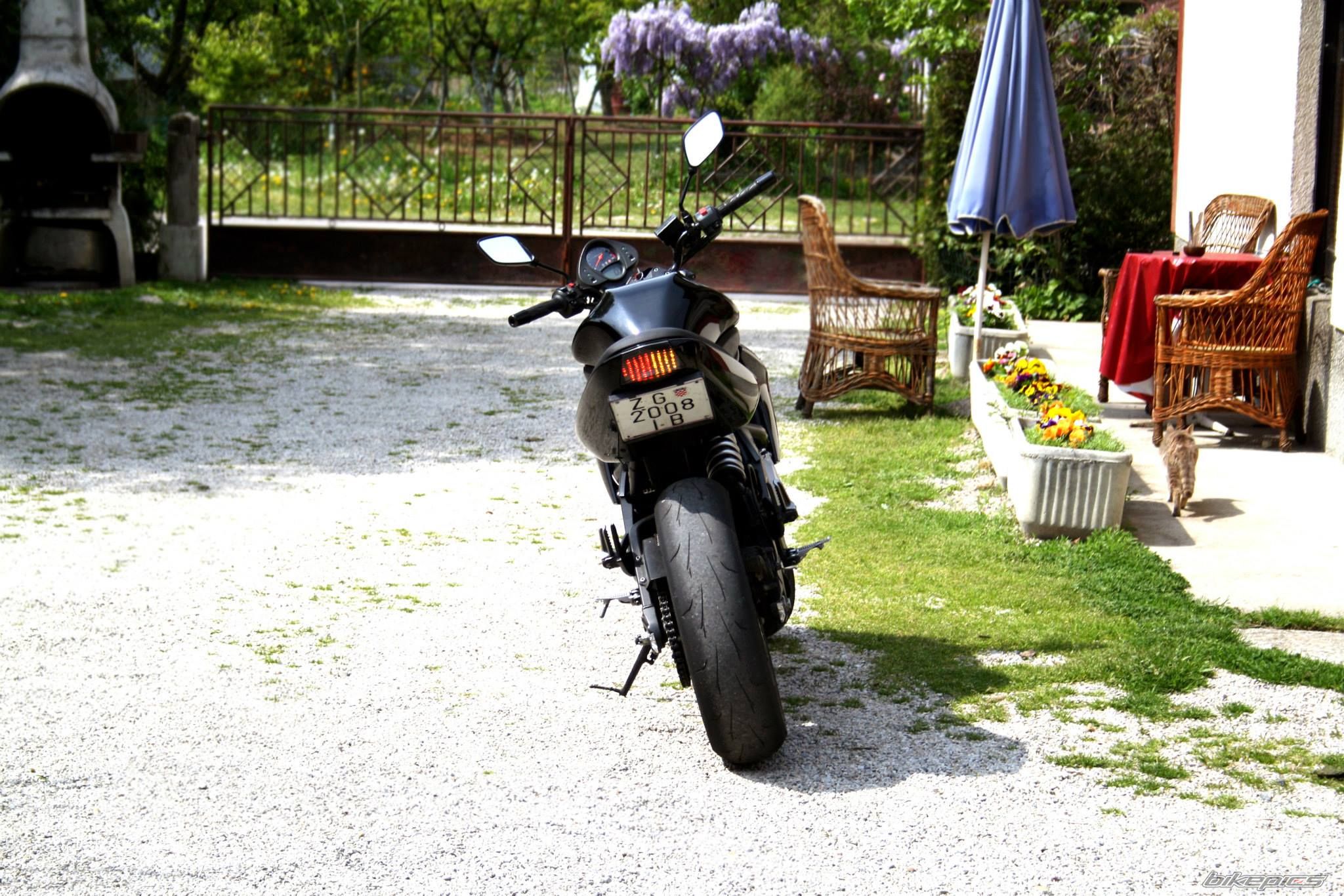 Photo 2659624