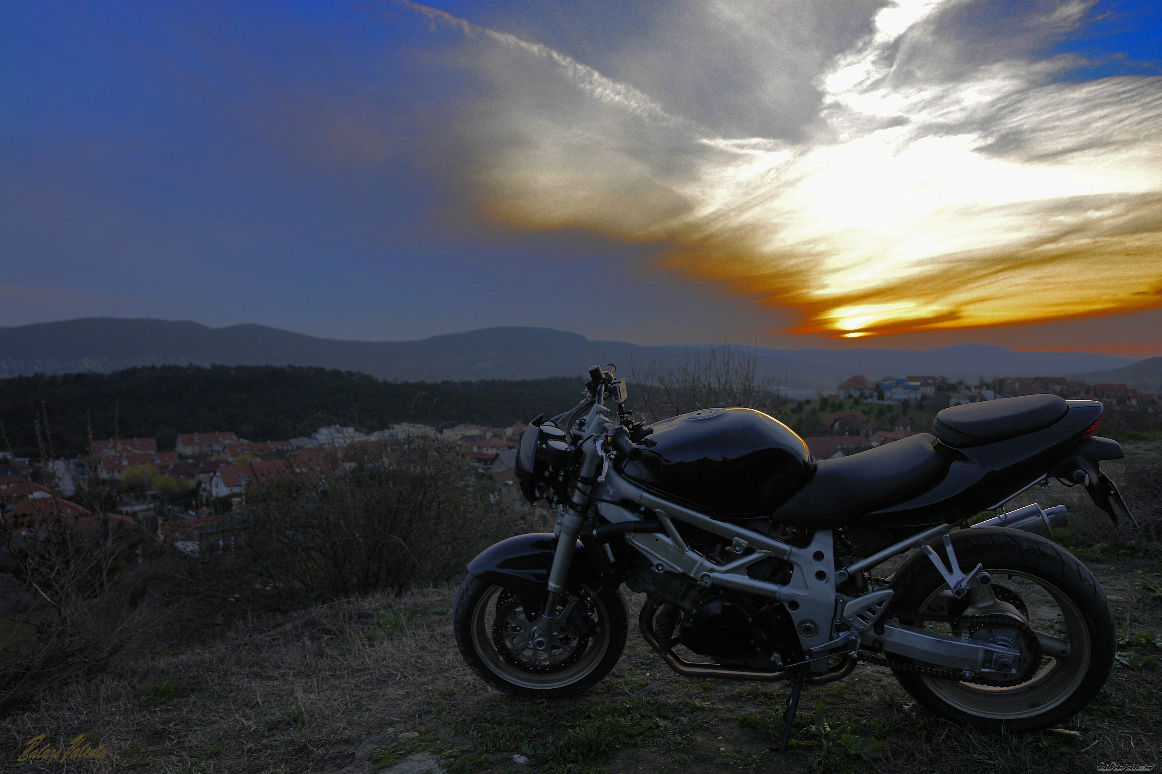 Photo 2659711