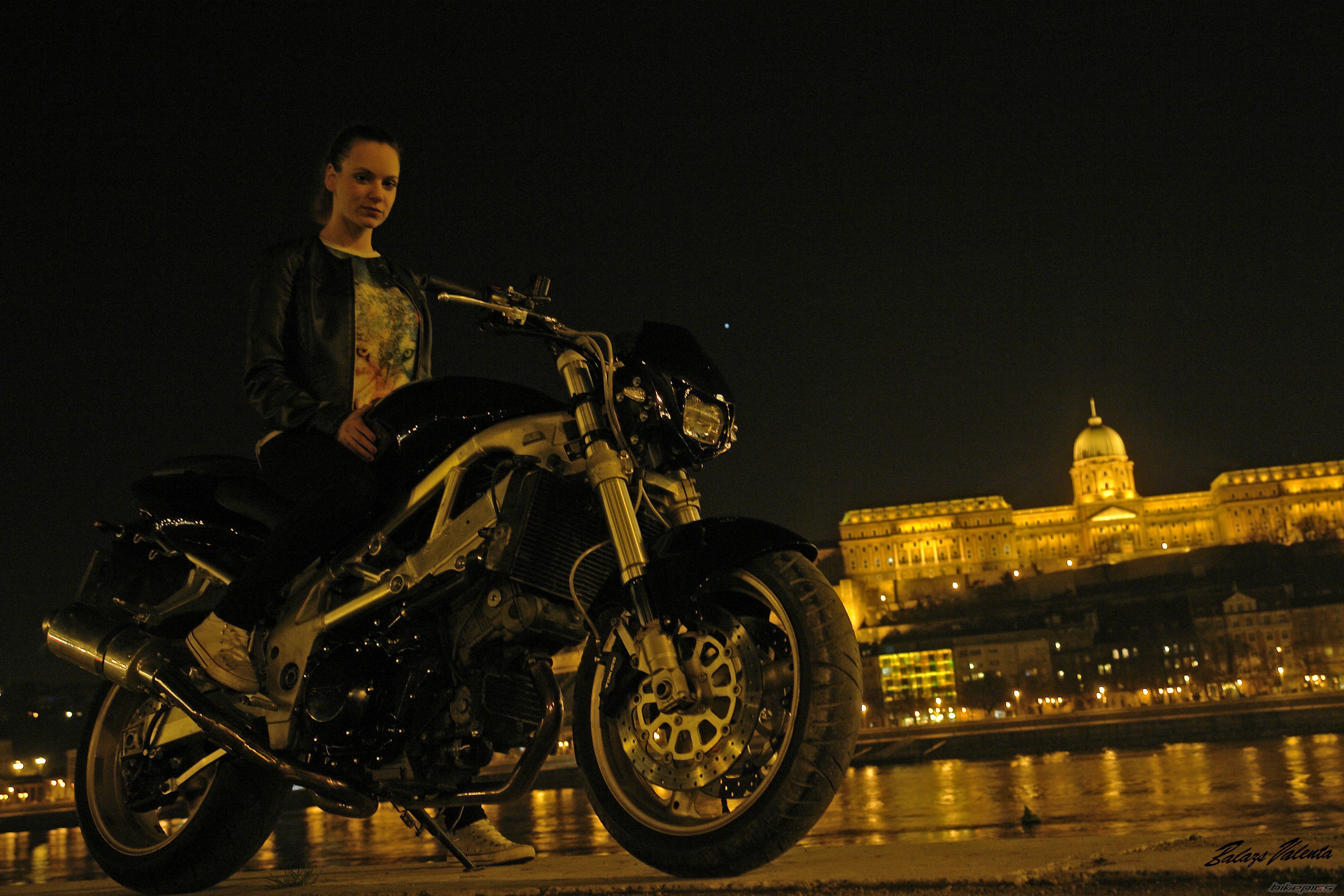 Photo 2659730