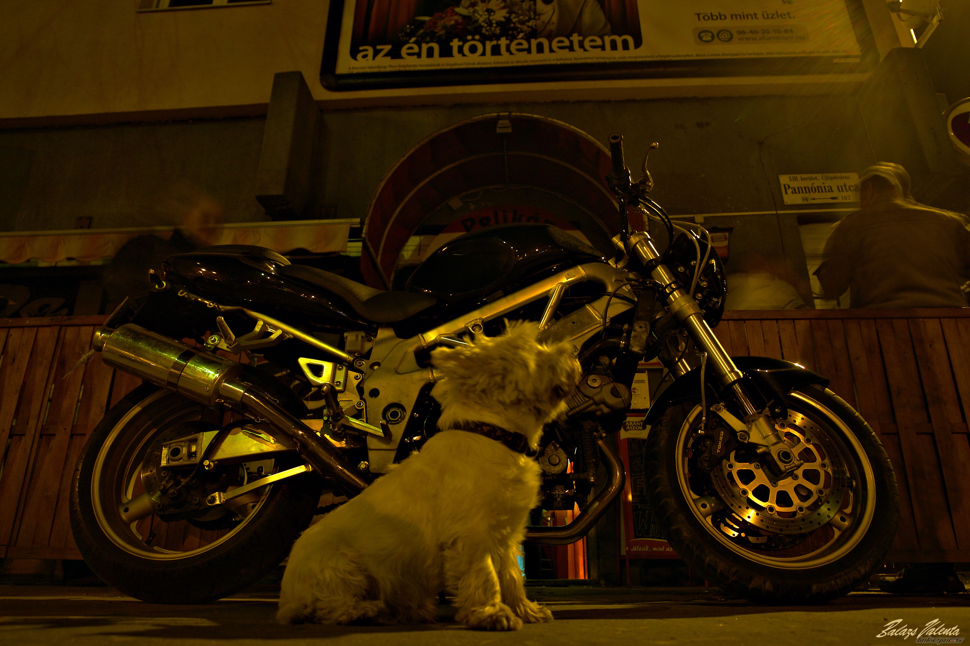 Photo 2659757