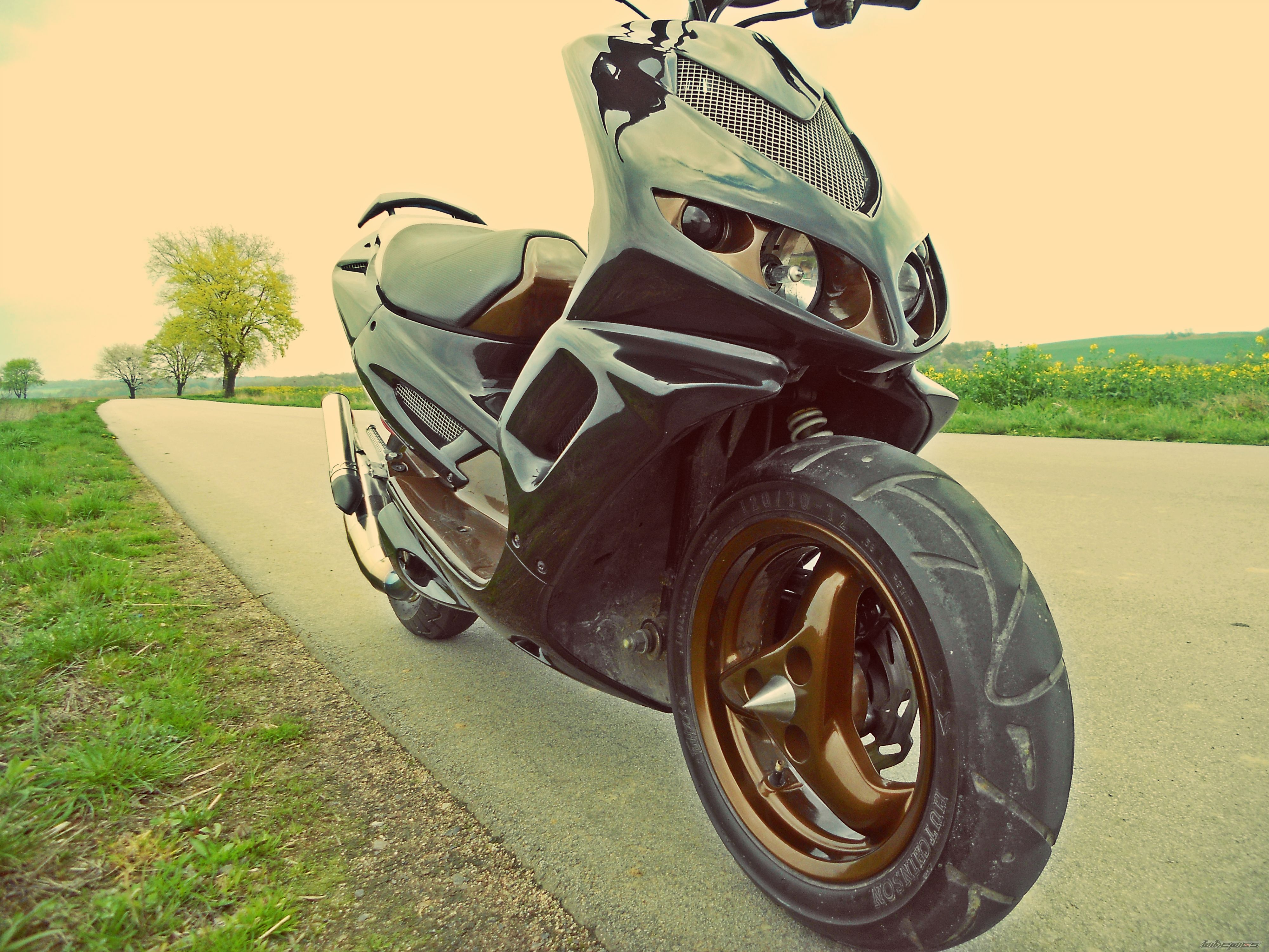 Photo 2659798