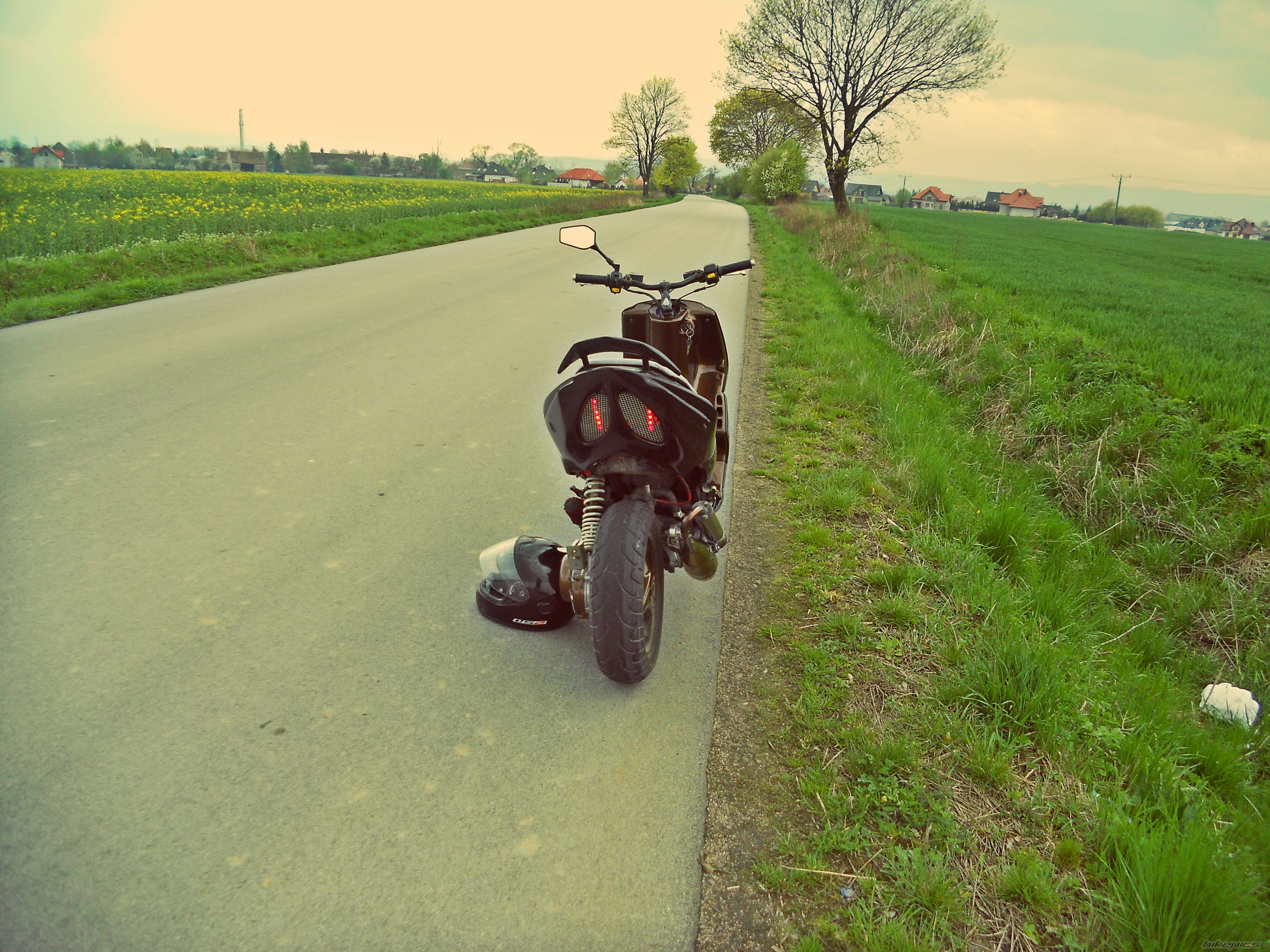 Photo 2659799