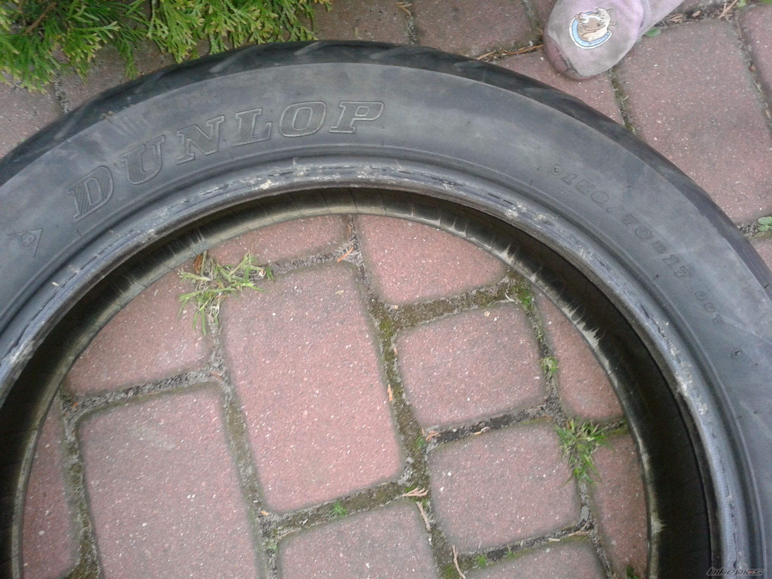 Photo 2659811