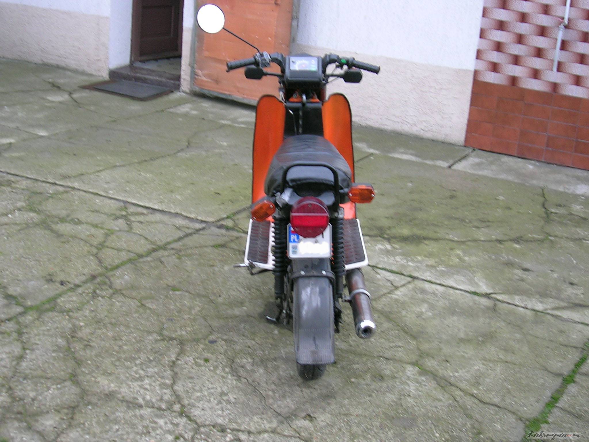 Photo 265982
