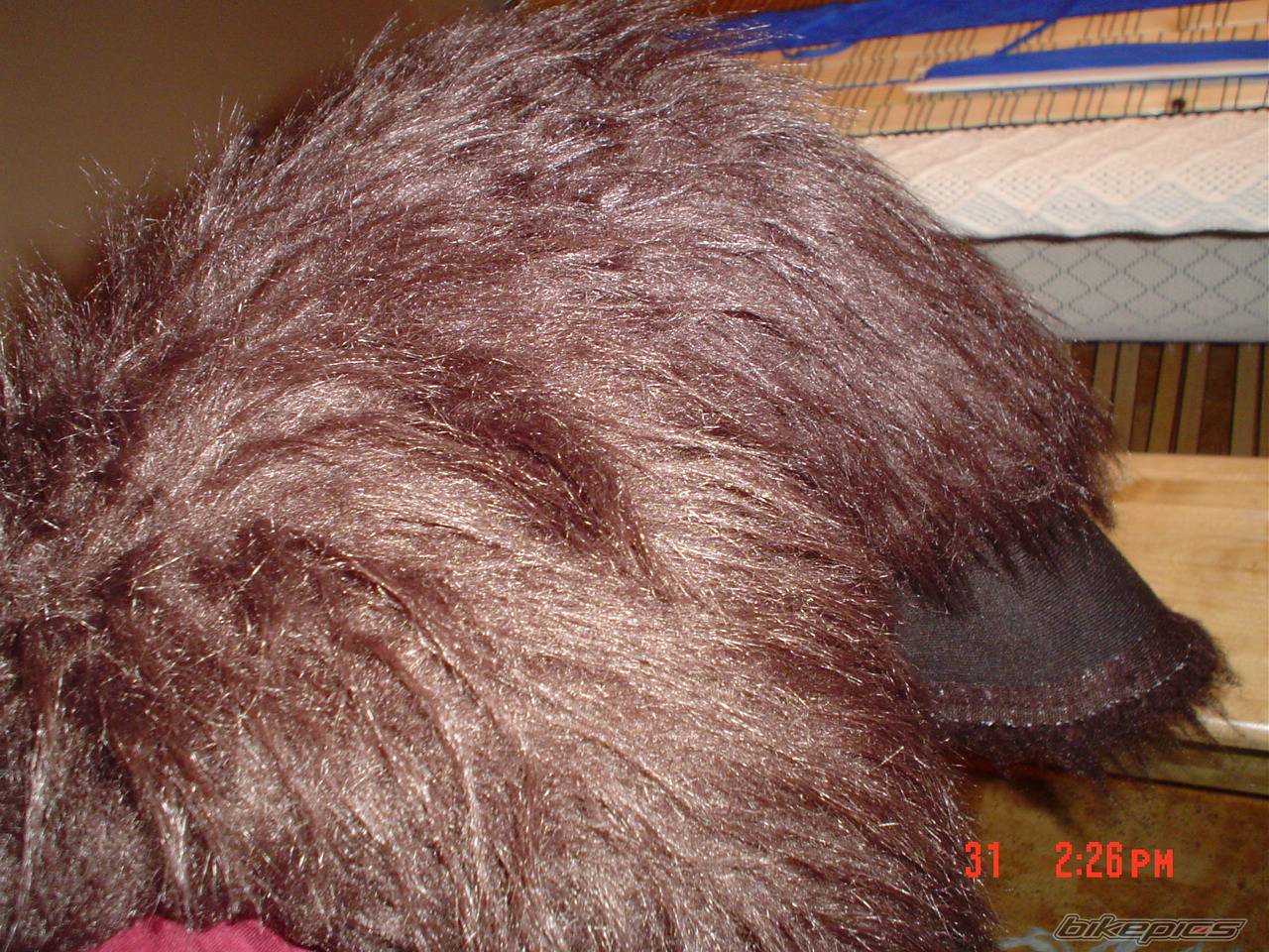 Photo 265996