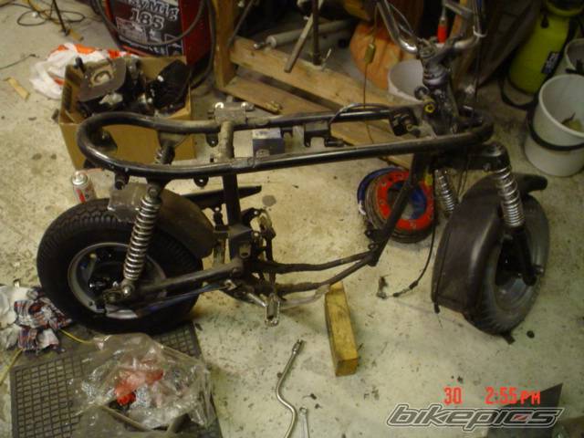 Photo 266003