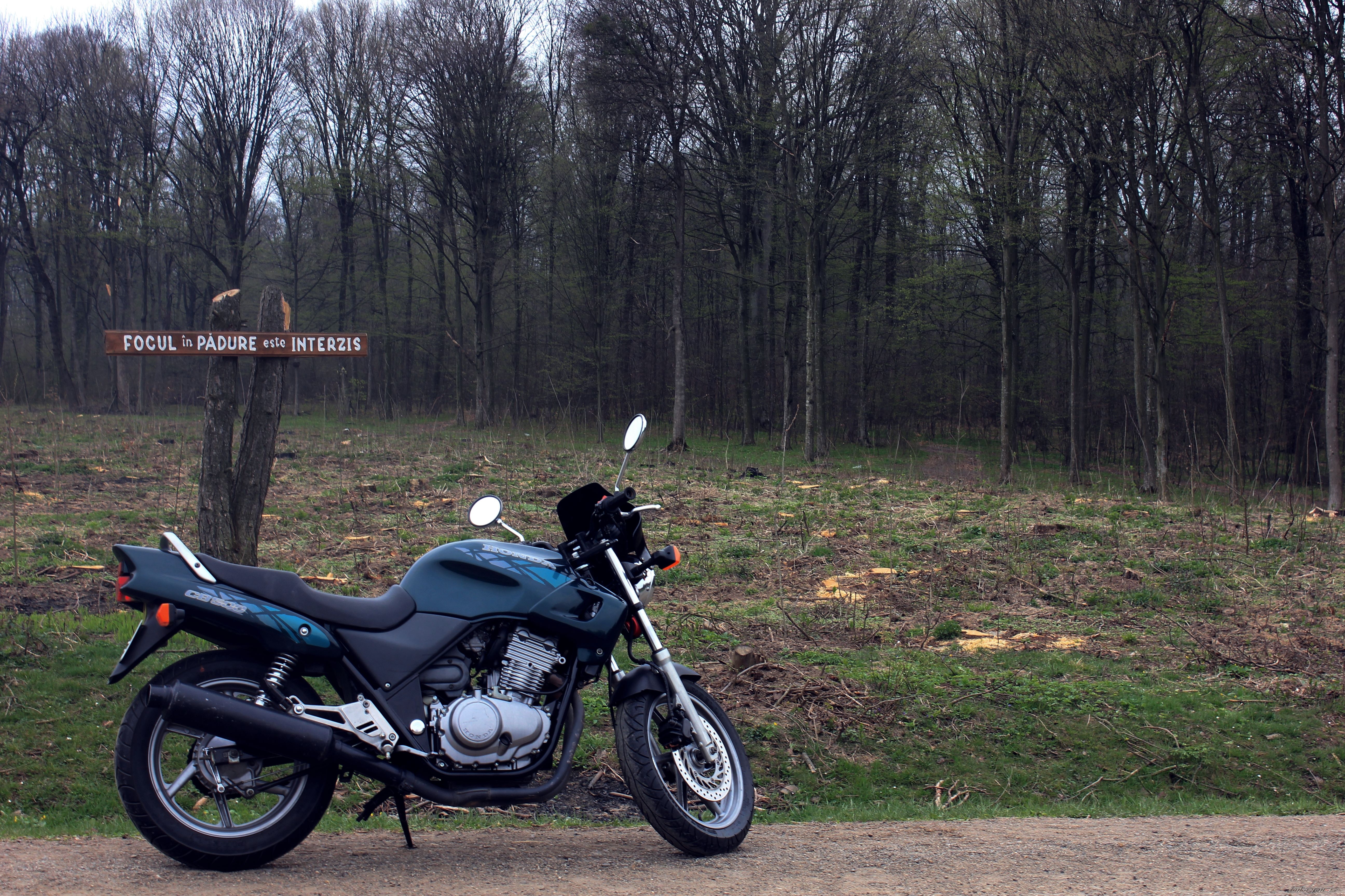 Photo 2660221