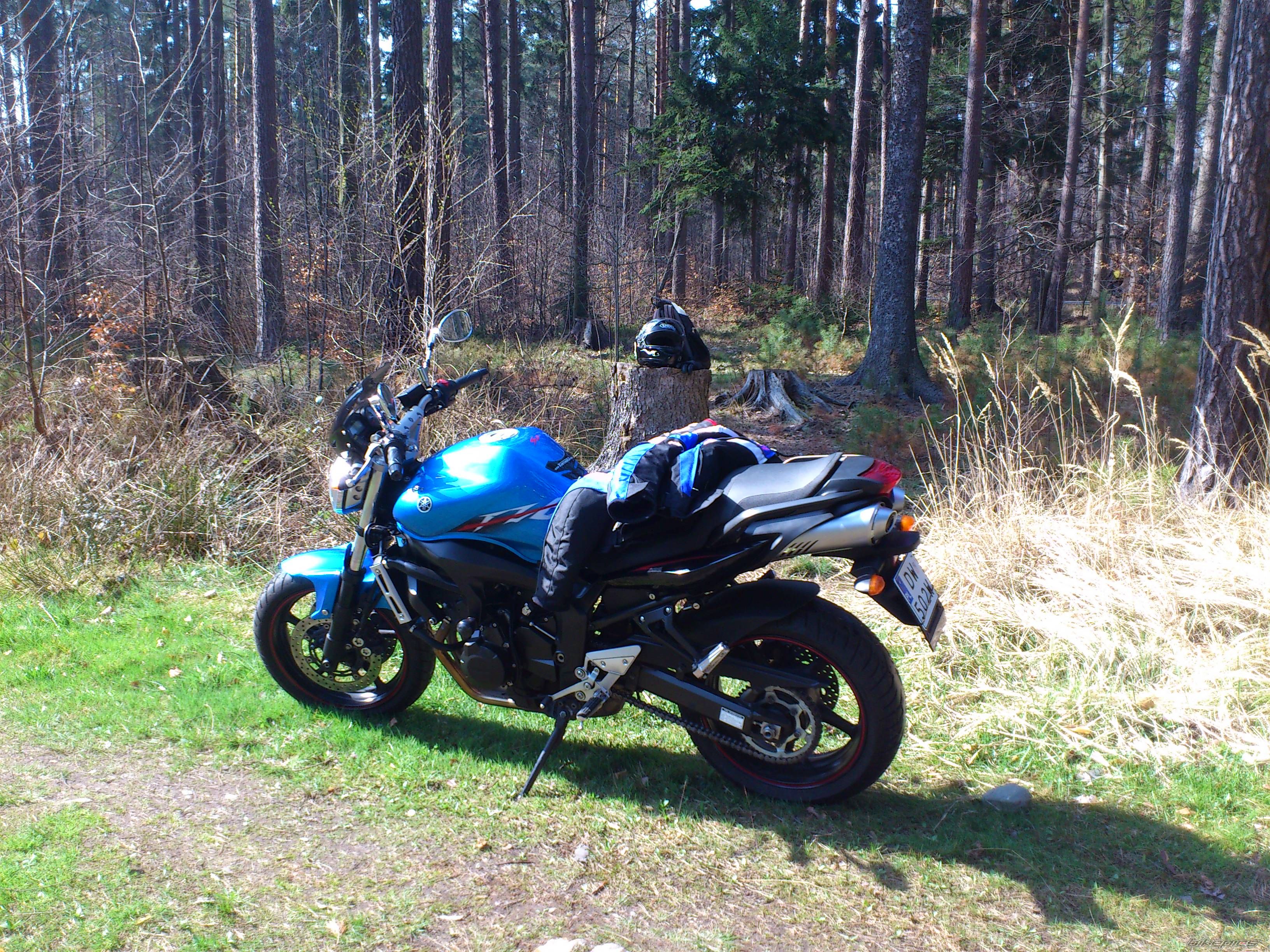 Photo 2660270