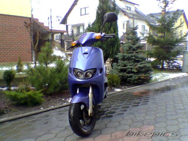Photo 266035