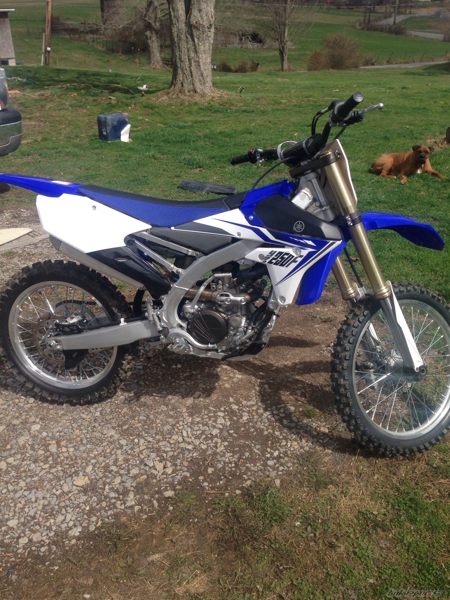 Photo 2660359