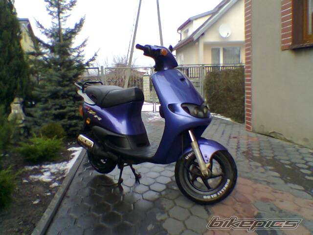 Photo 266036