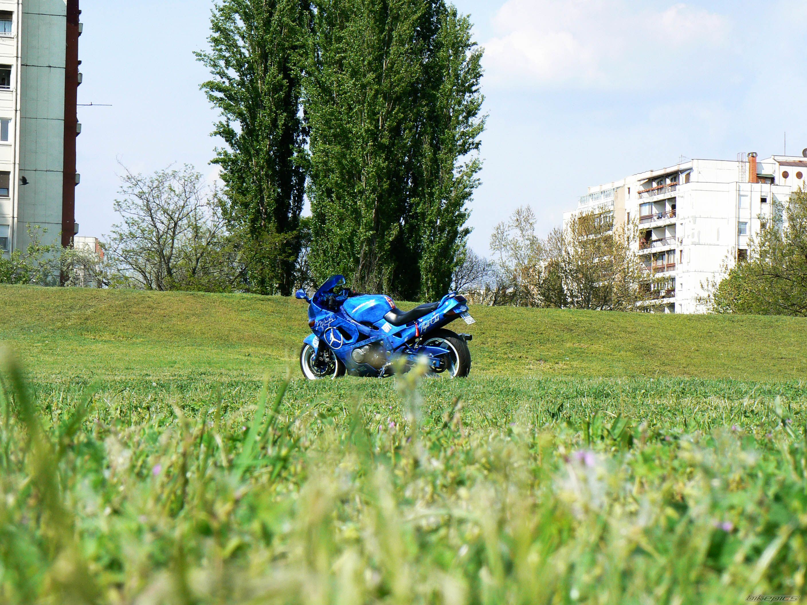 Photo 2660373