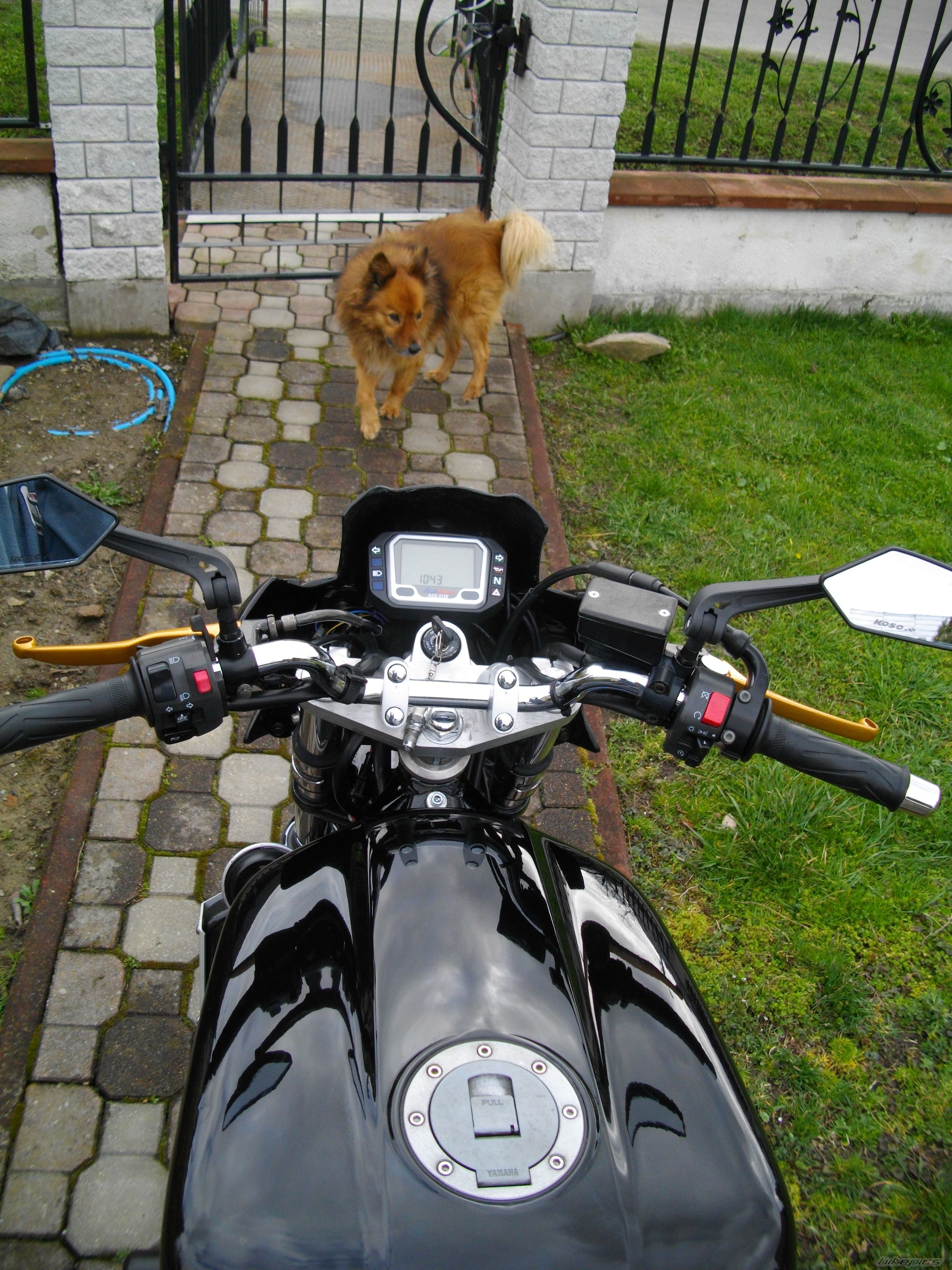 Photo 2660387