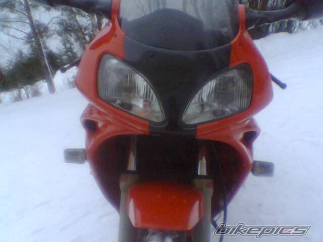 Photo 266040