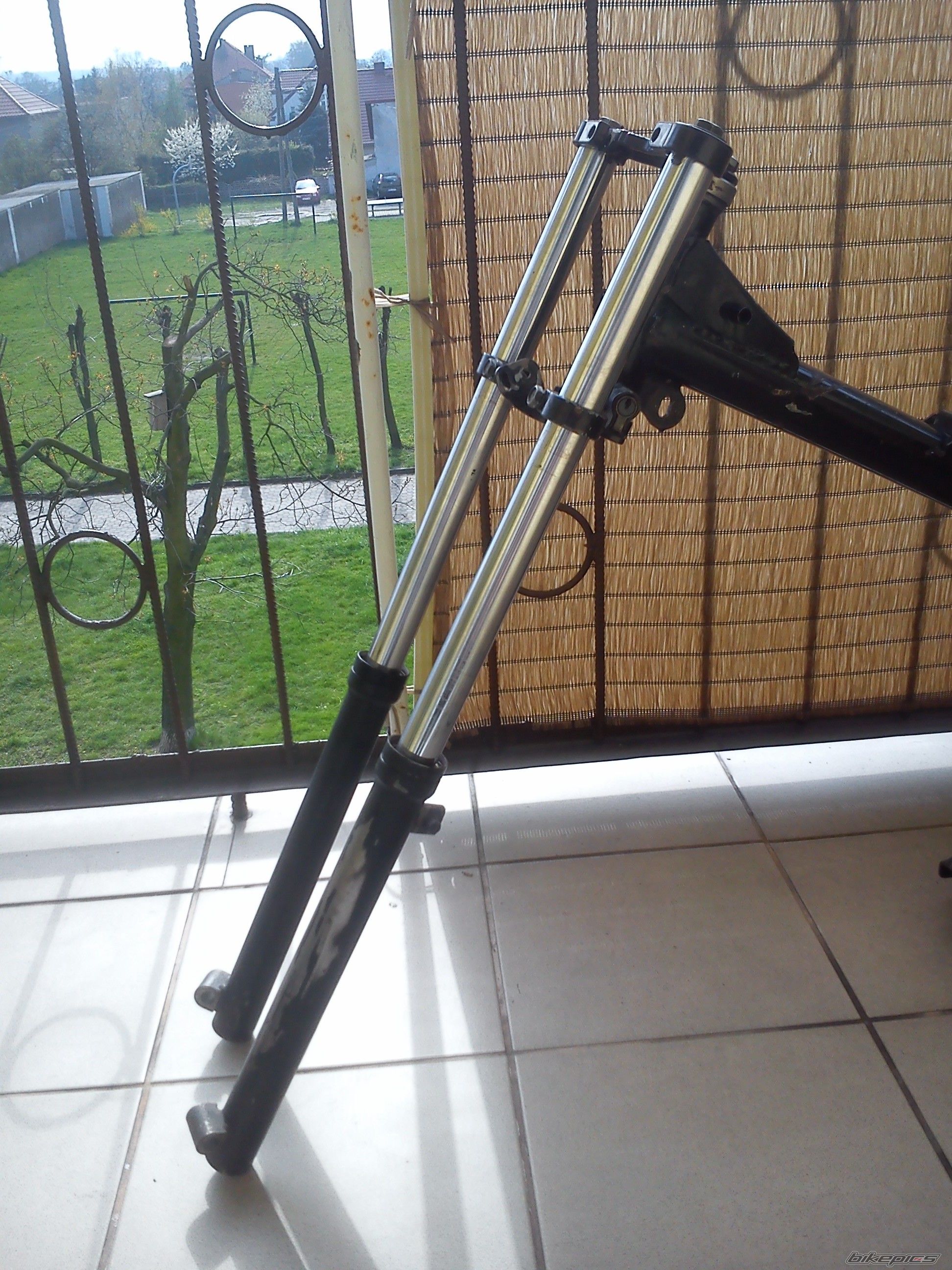 Photo 2660439