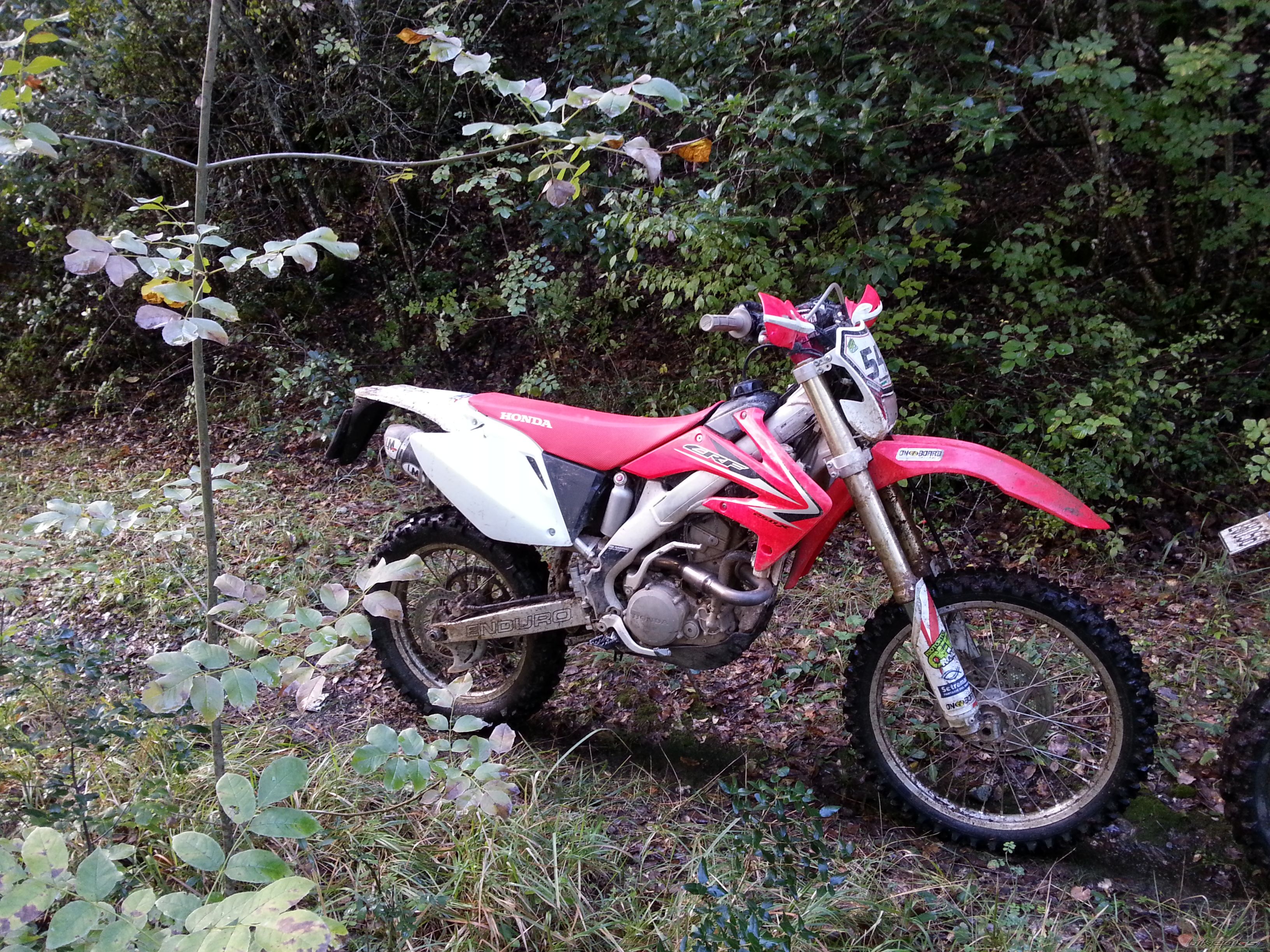 Photo 2660458