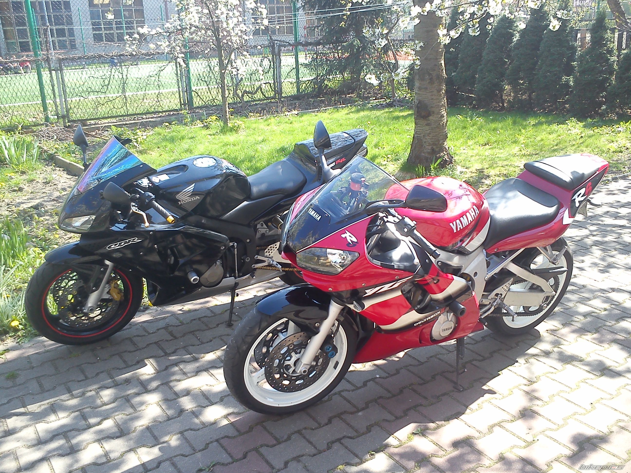 Photo 2660475