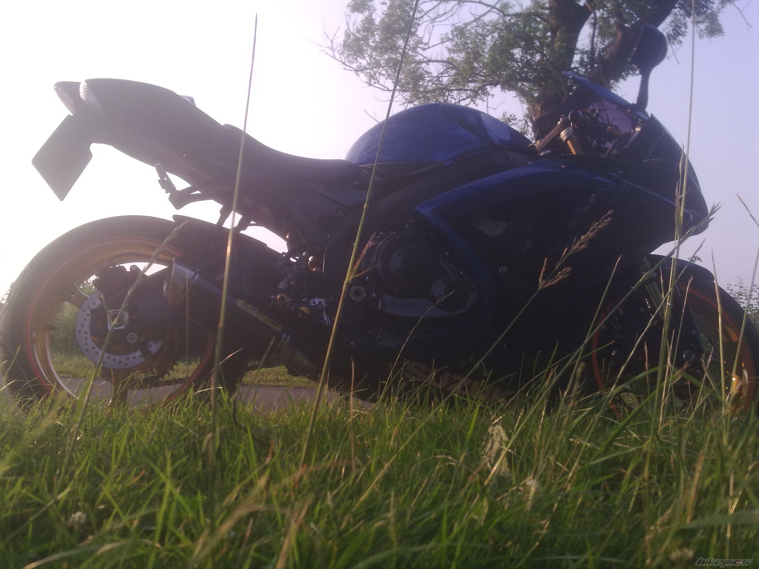 Photo 2660495