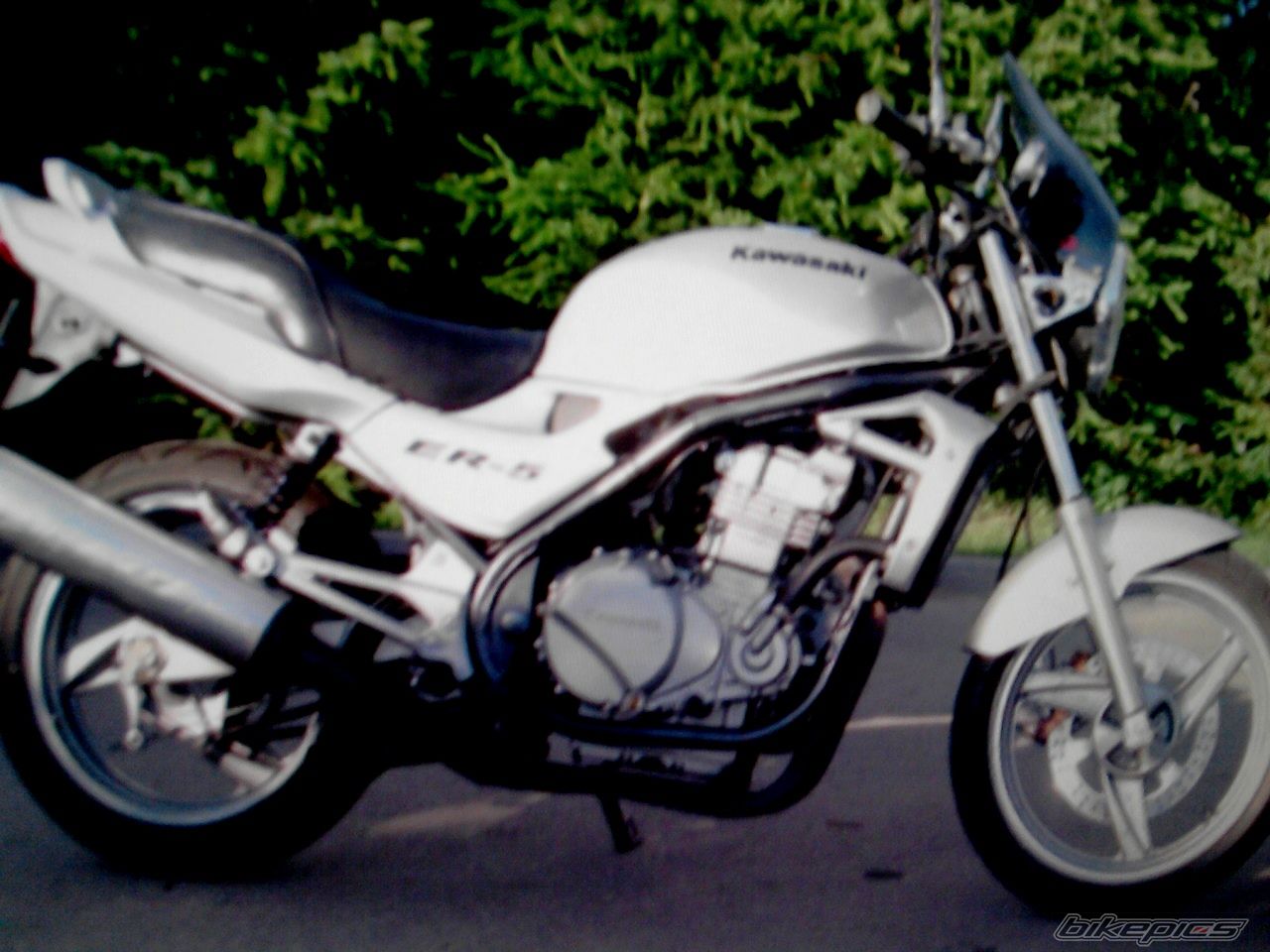 Photo 2660512