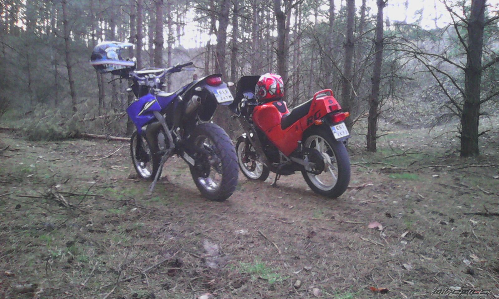 Photo 2660563