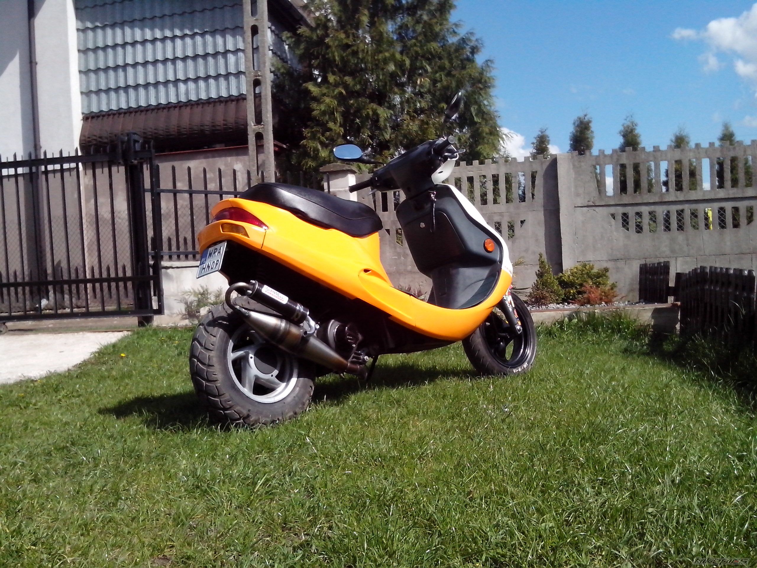 ZX 50