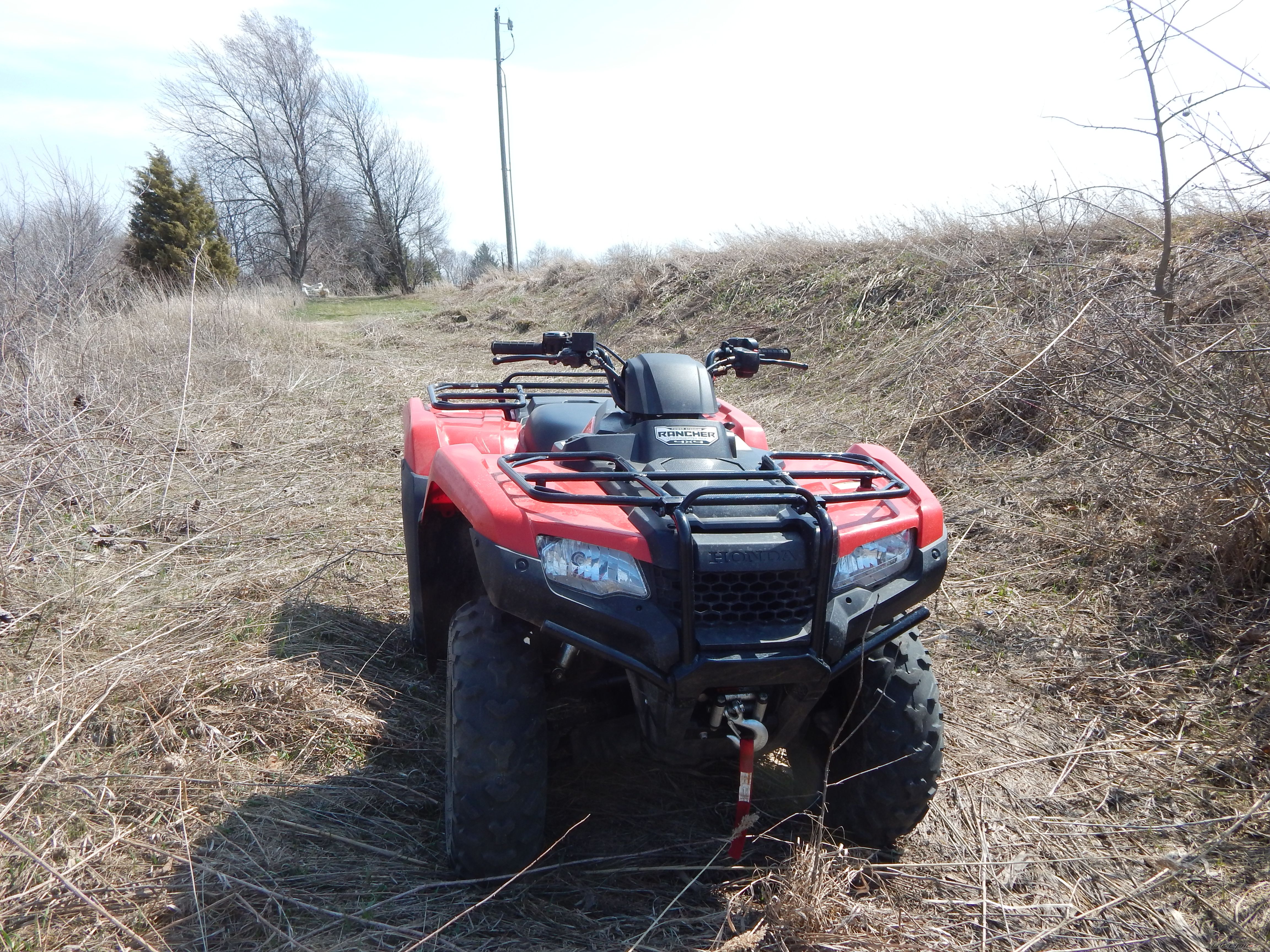 Photo 2660866