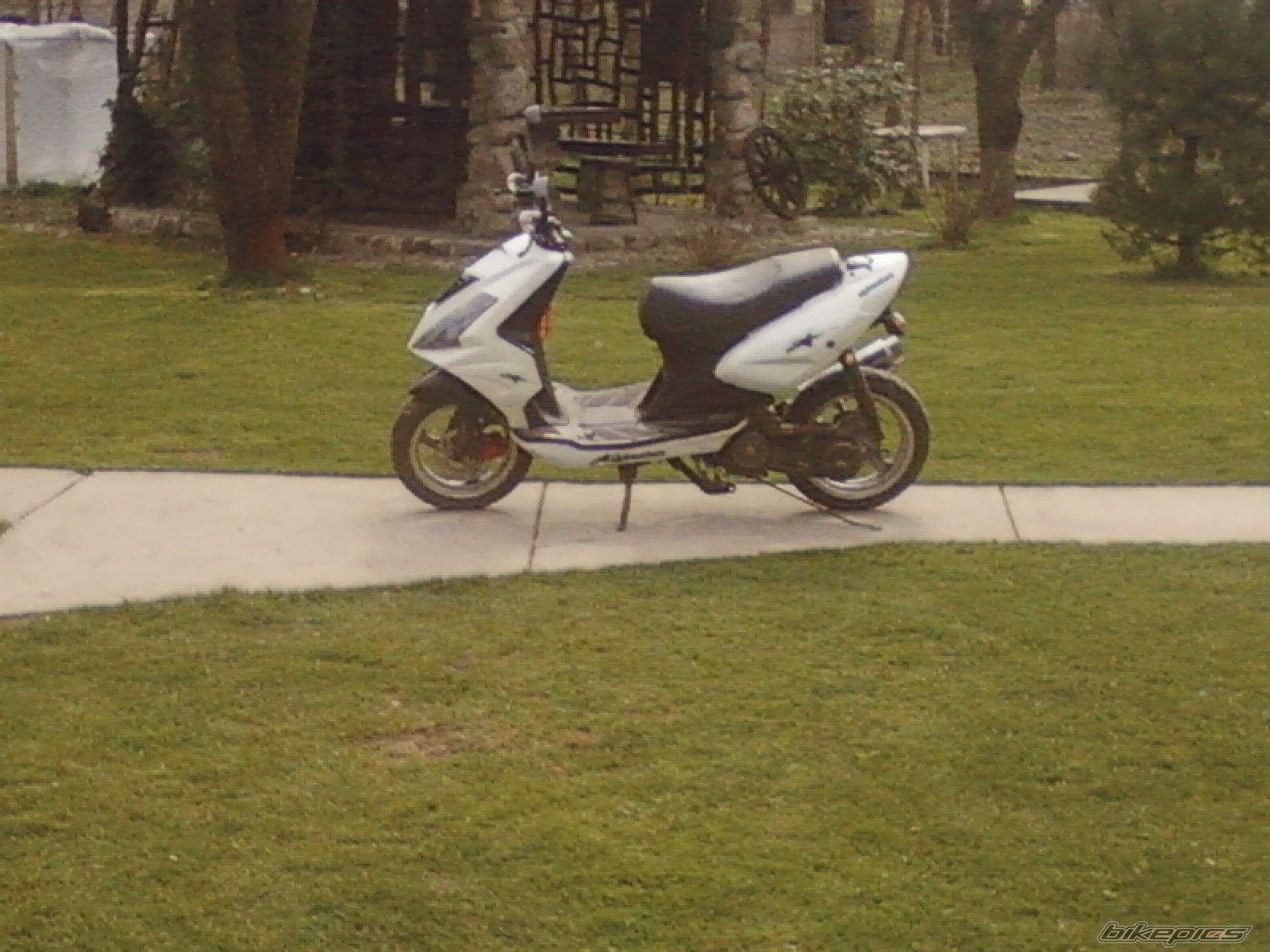 Photo 2660939