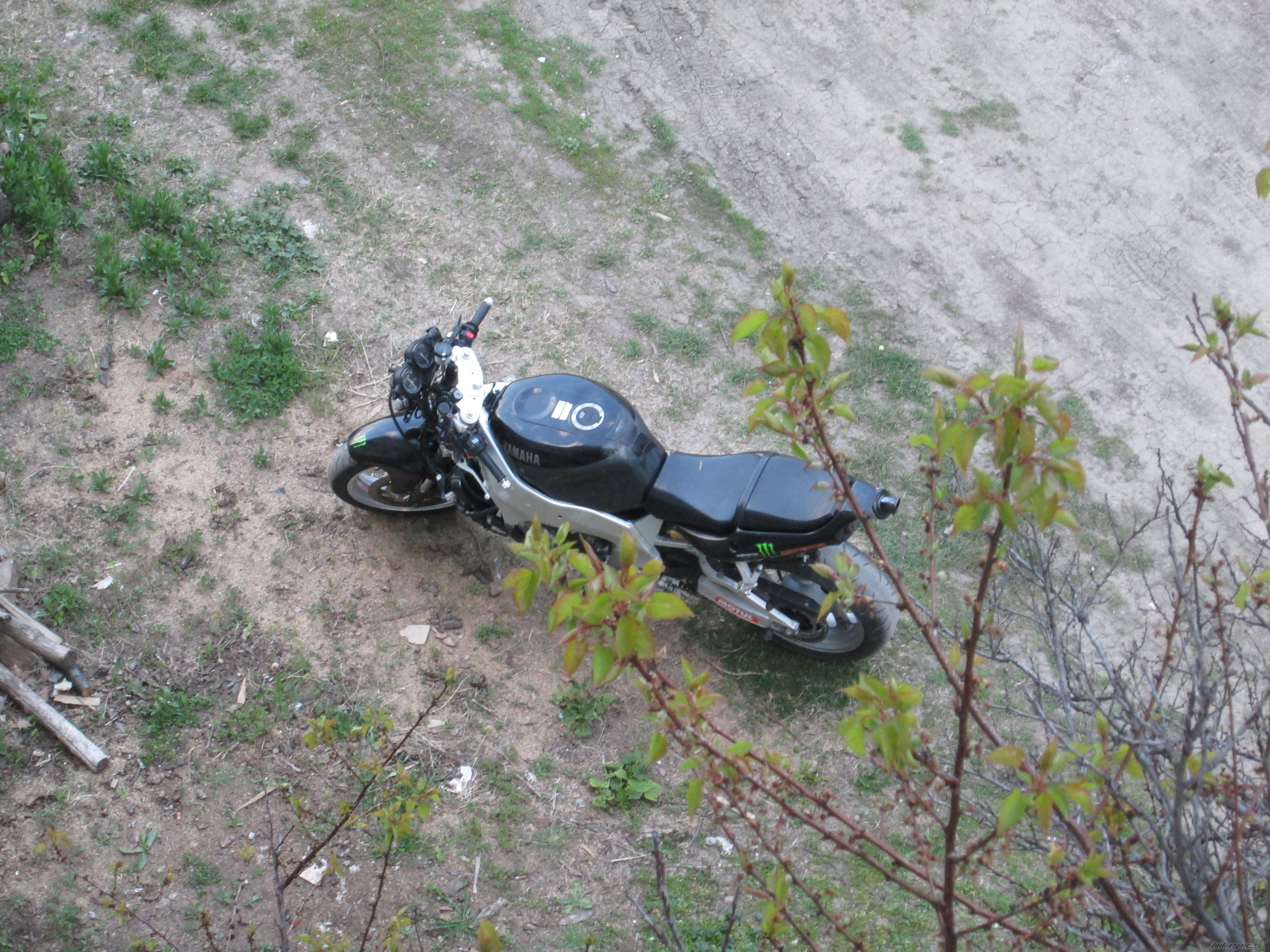 Photo 2660987