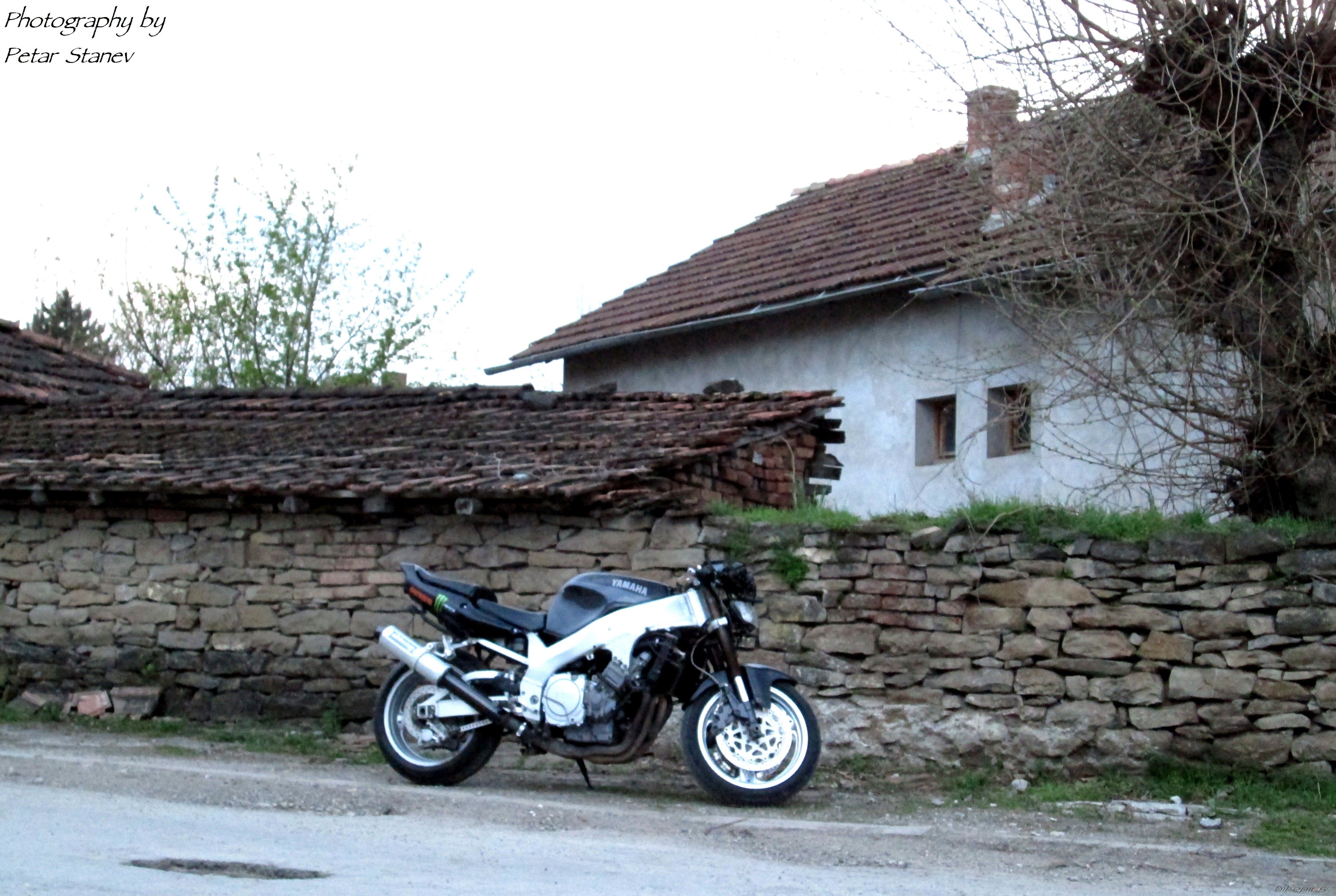 Photo 2660989