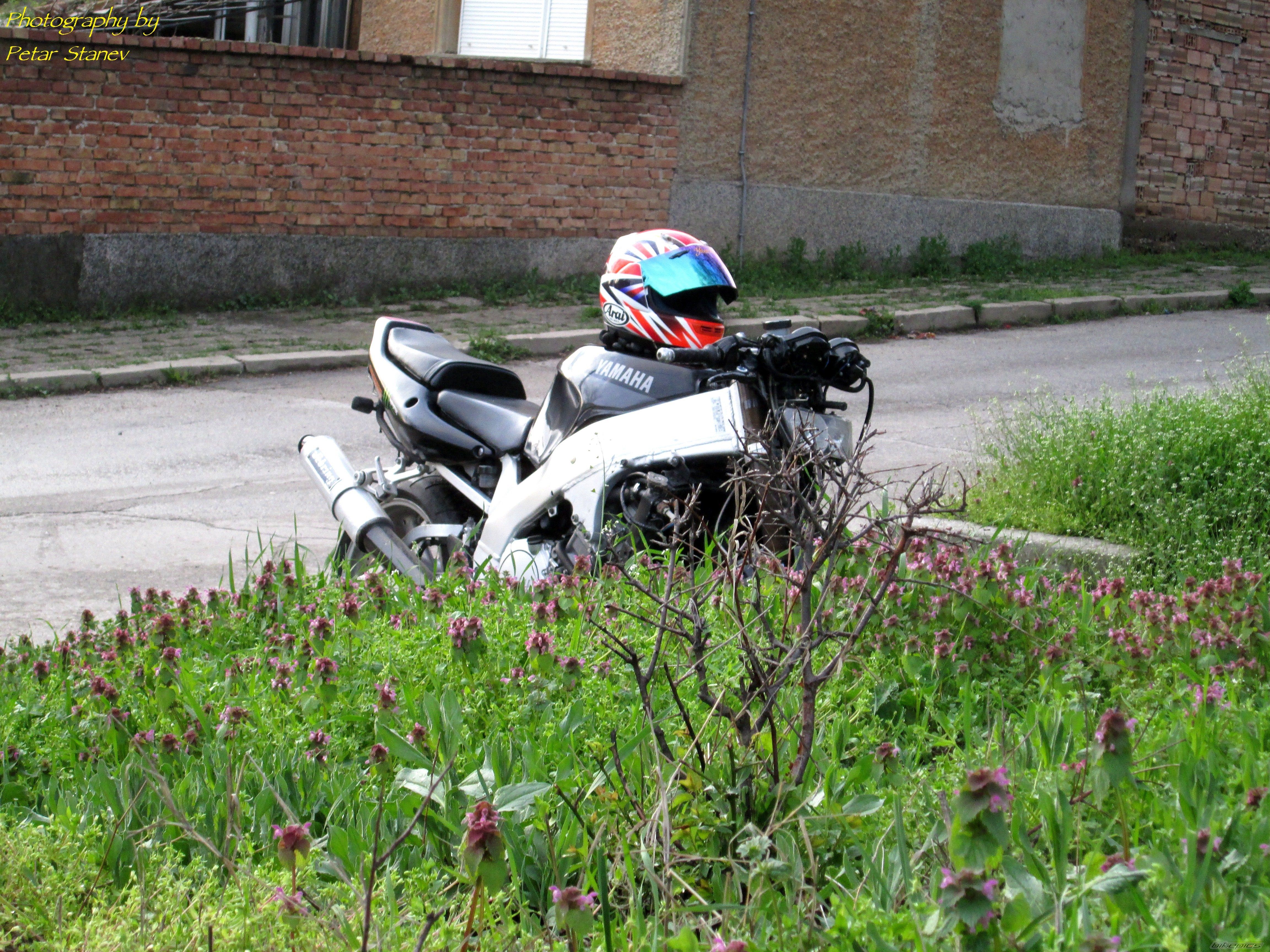 Photo 2661009
