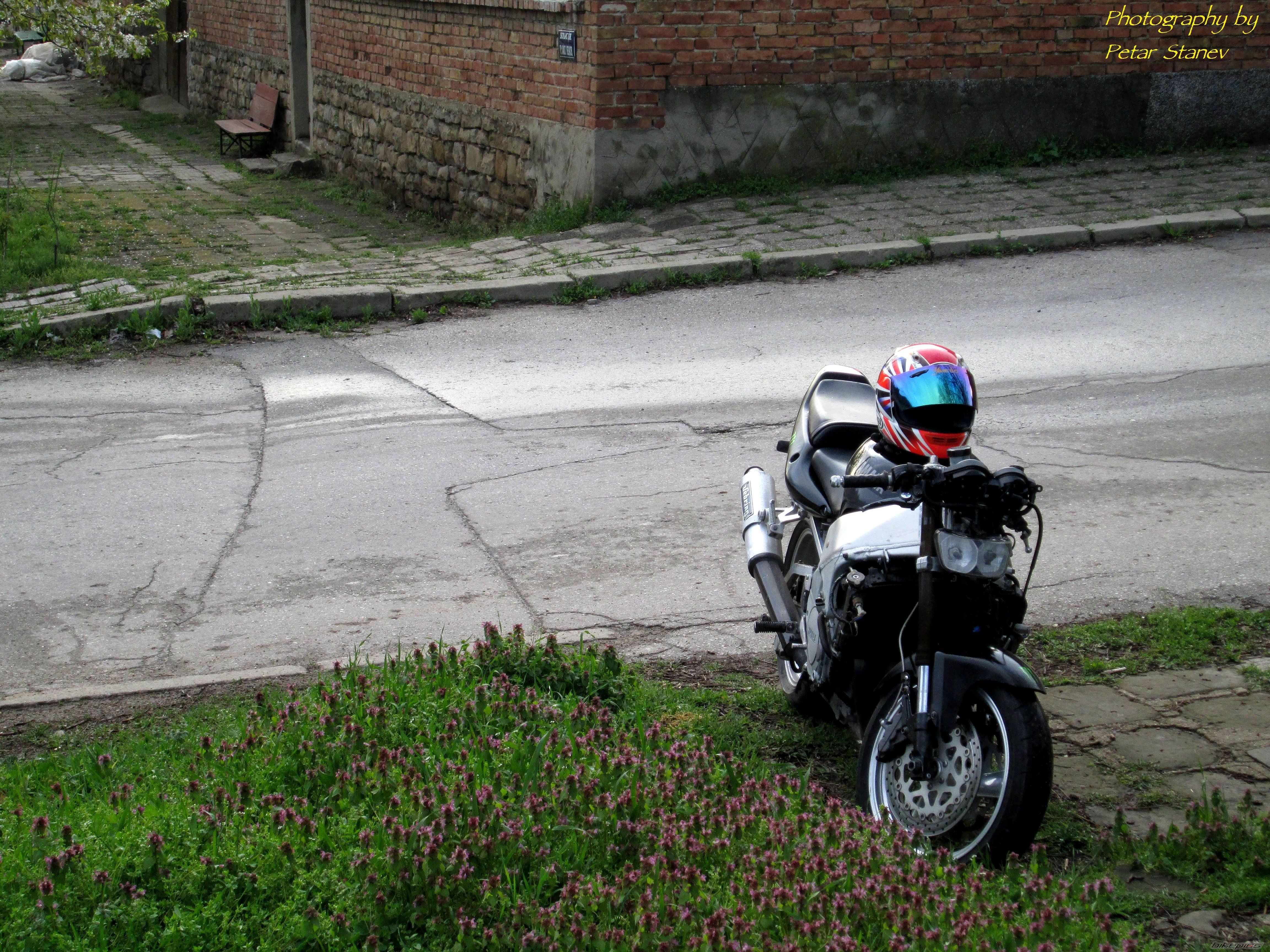 Photo 2661011