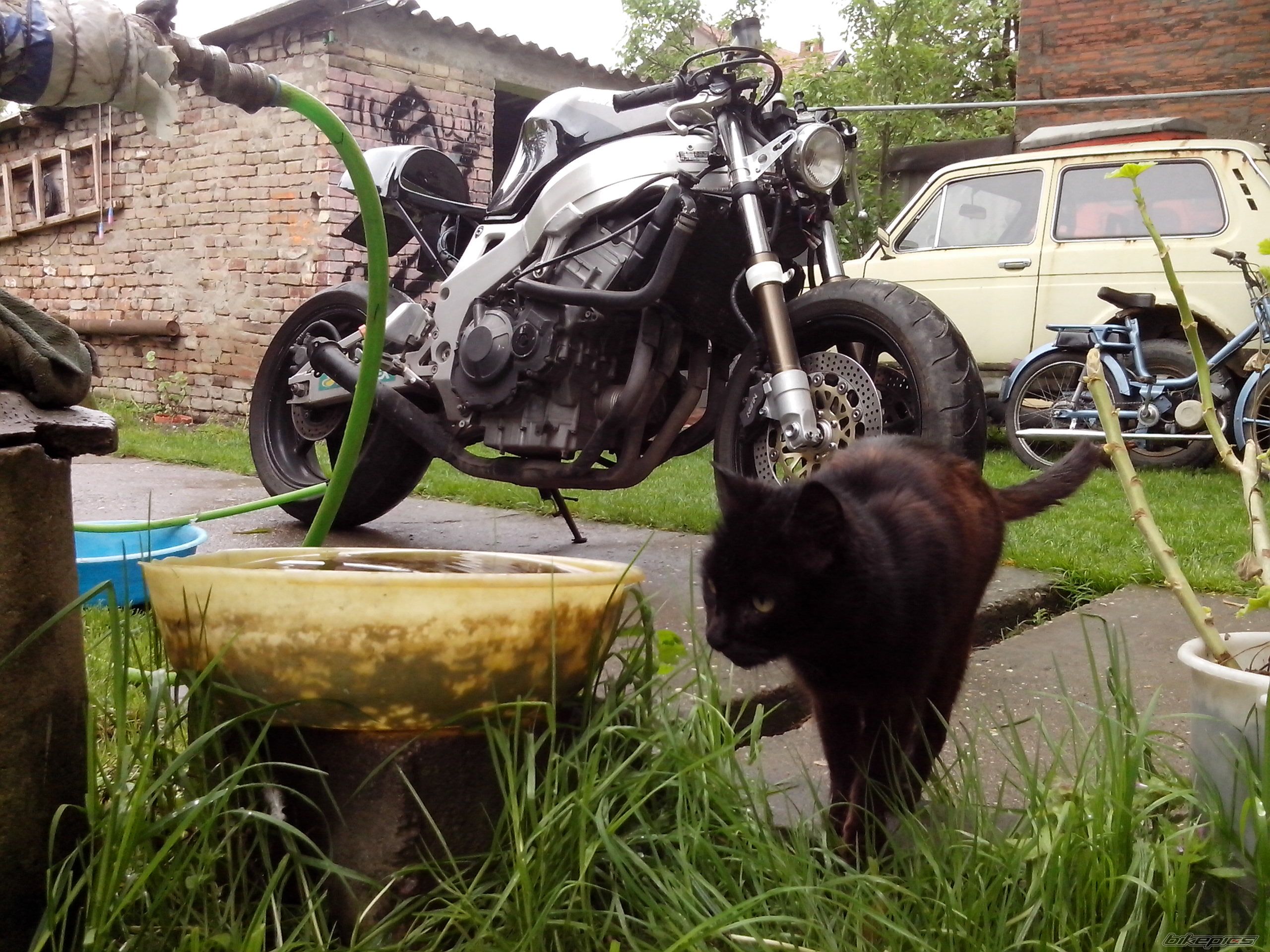 Photo 2661067