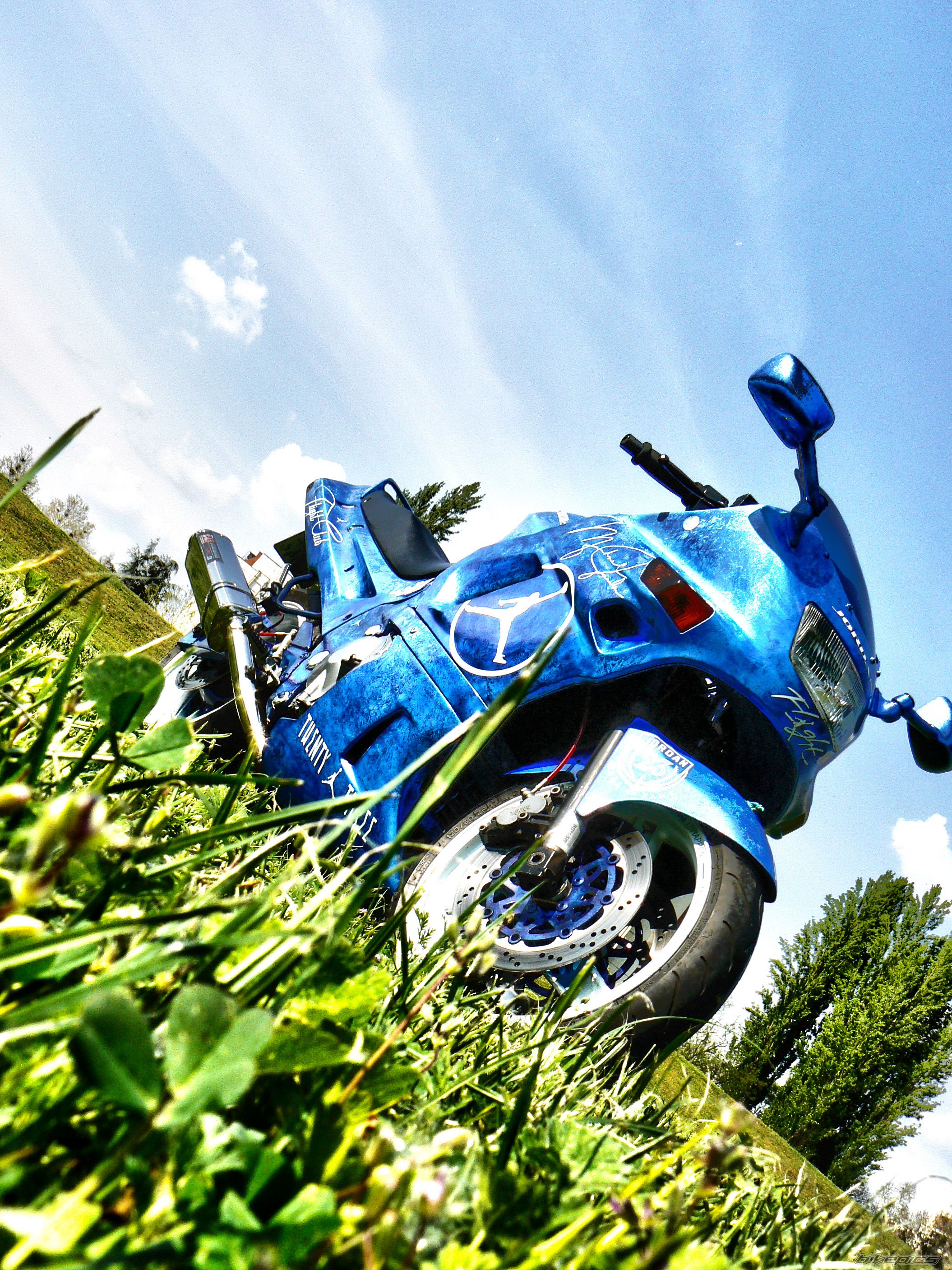 Photo 2661173