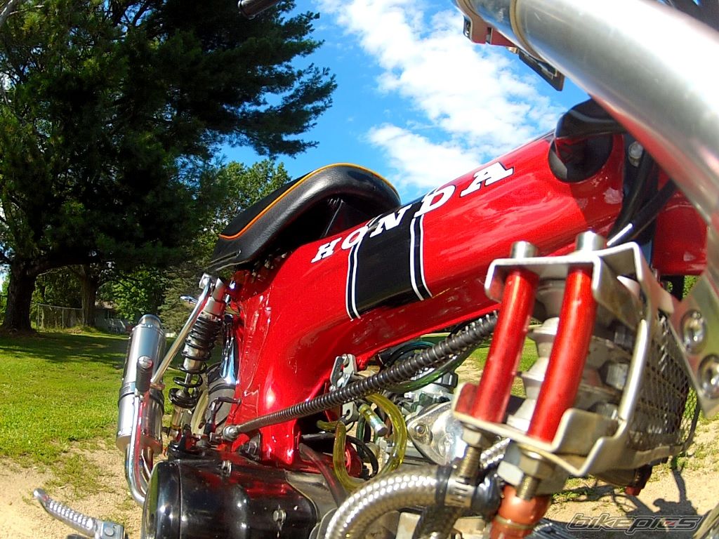 Bike Photo 2661216