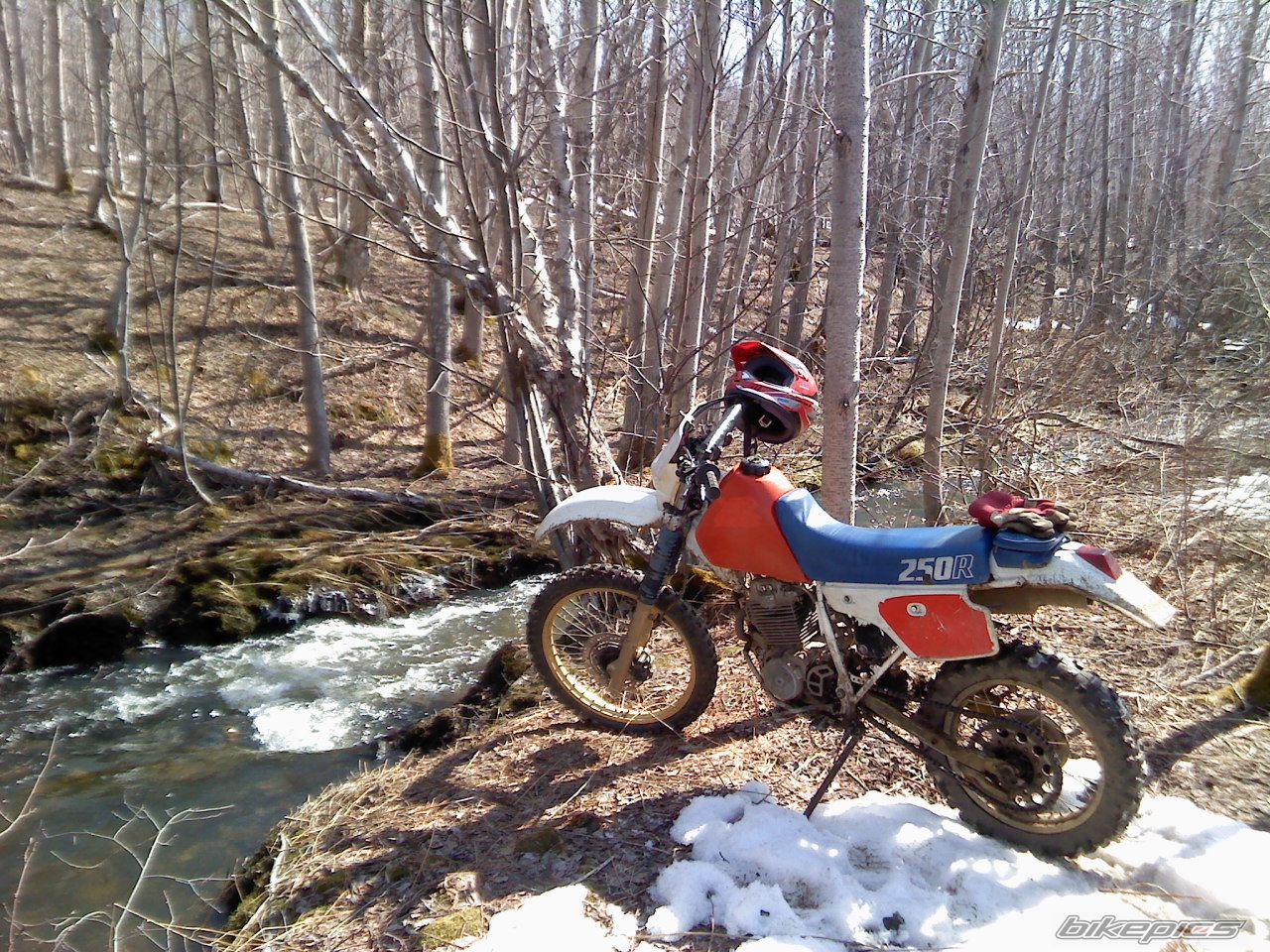 Photo 2661272
