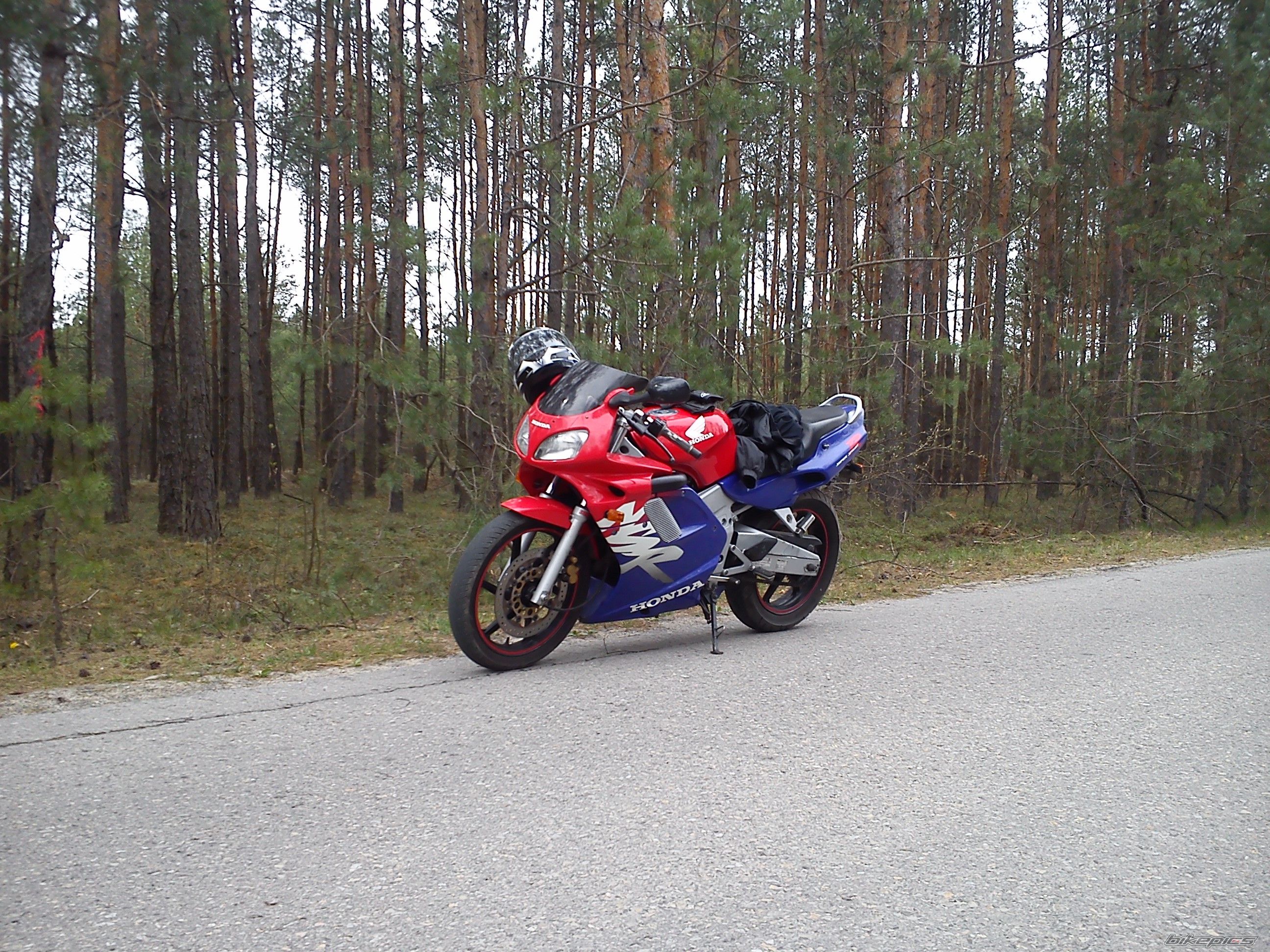 Photo 2661576