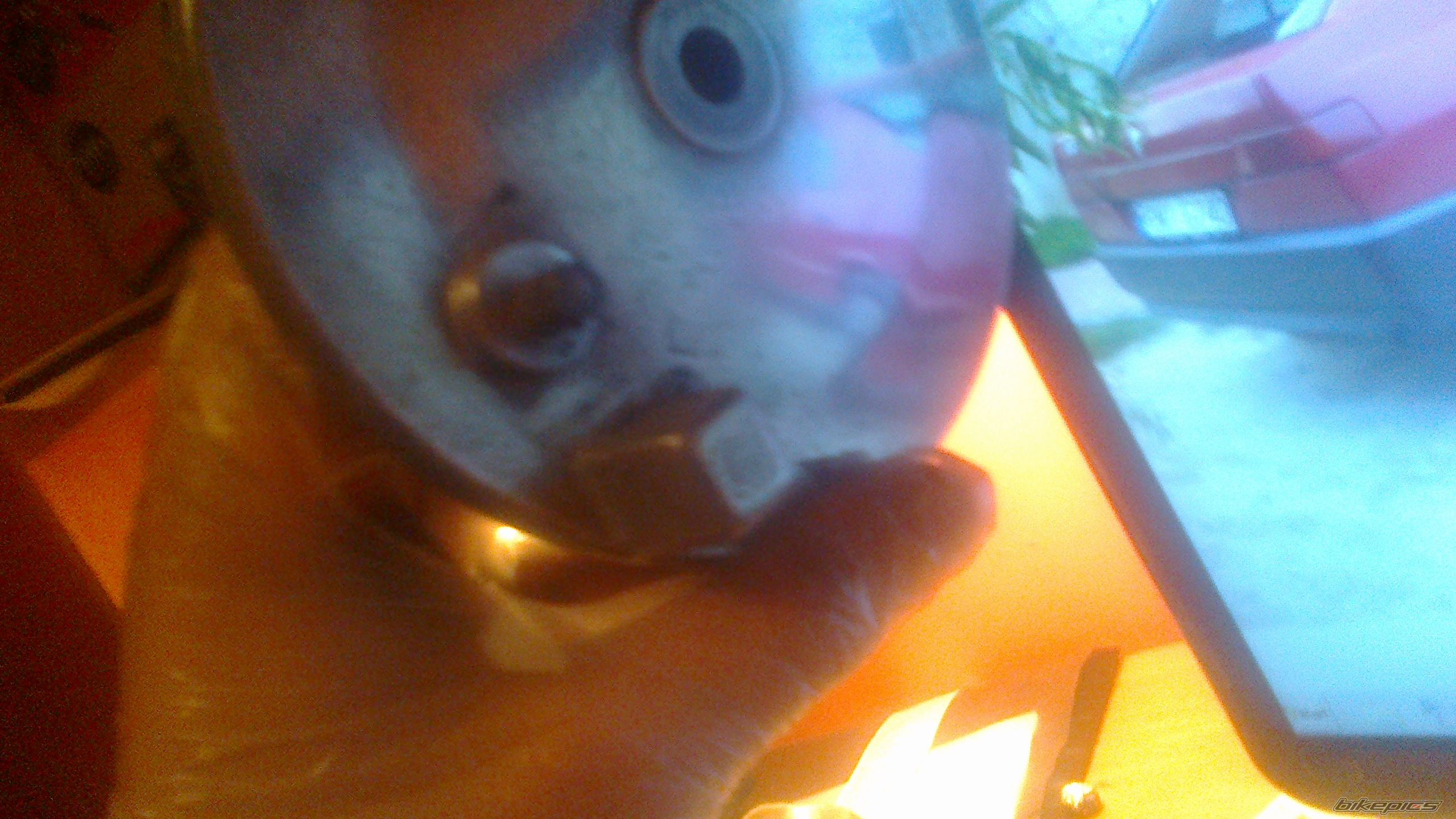 Photo 2661688