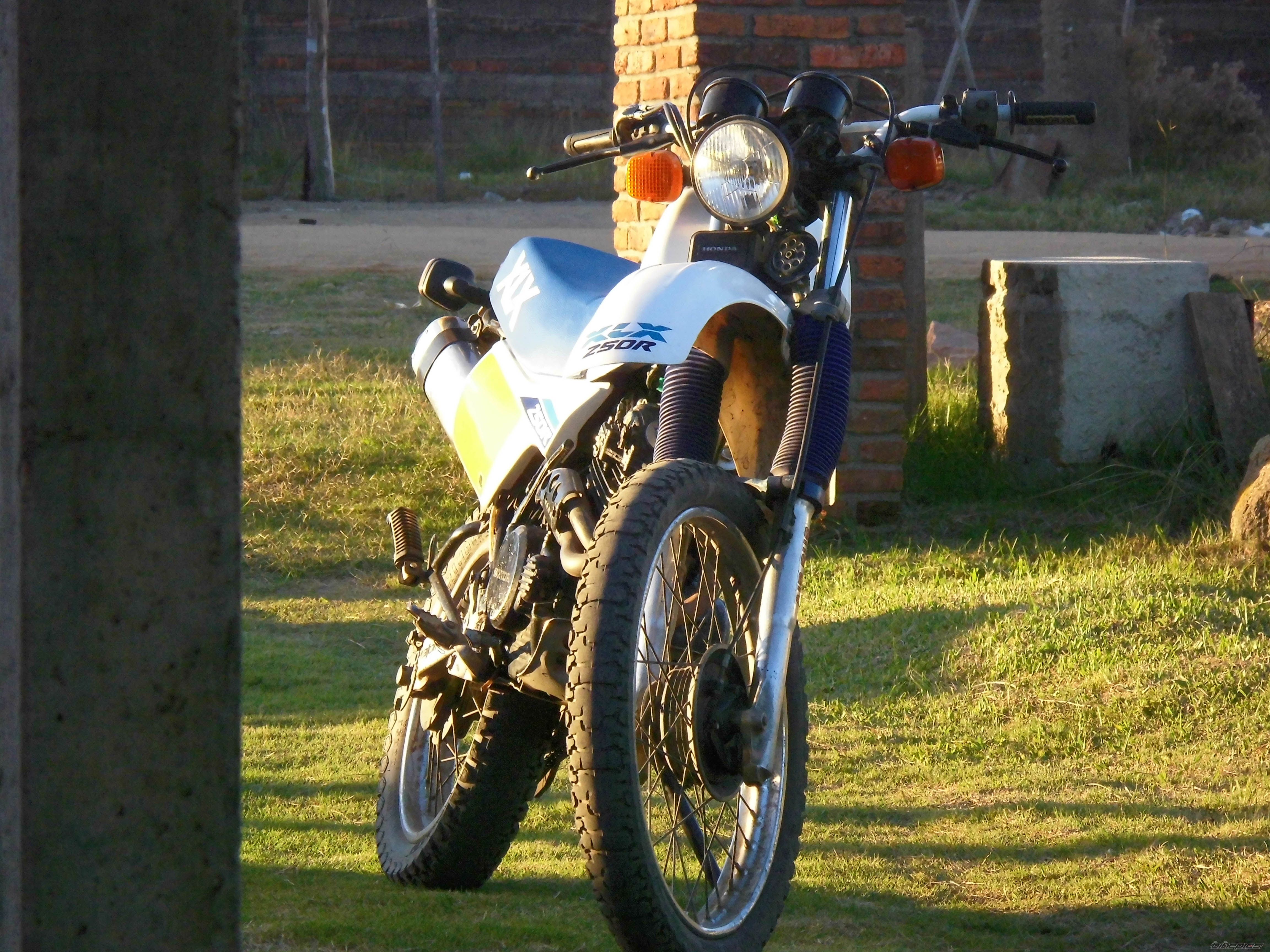 Photo 2661713