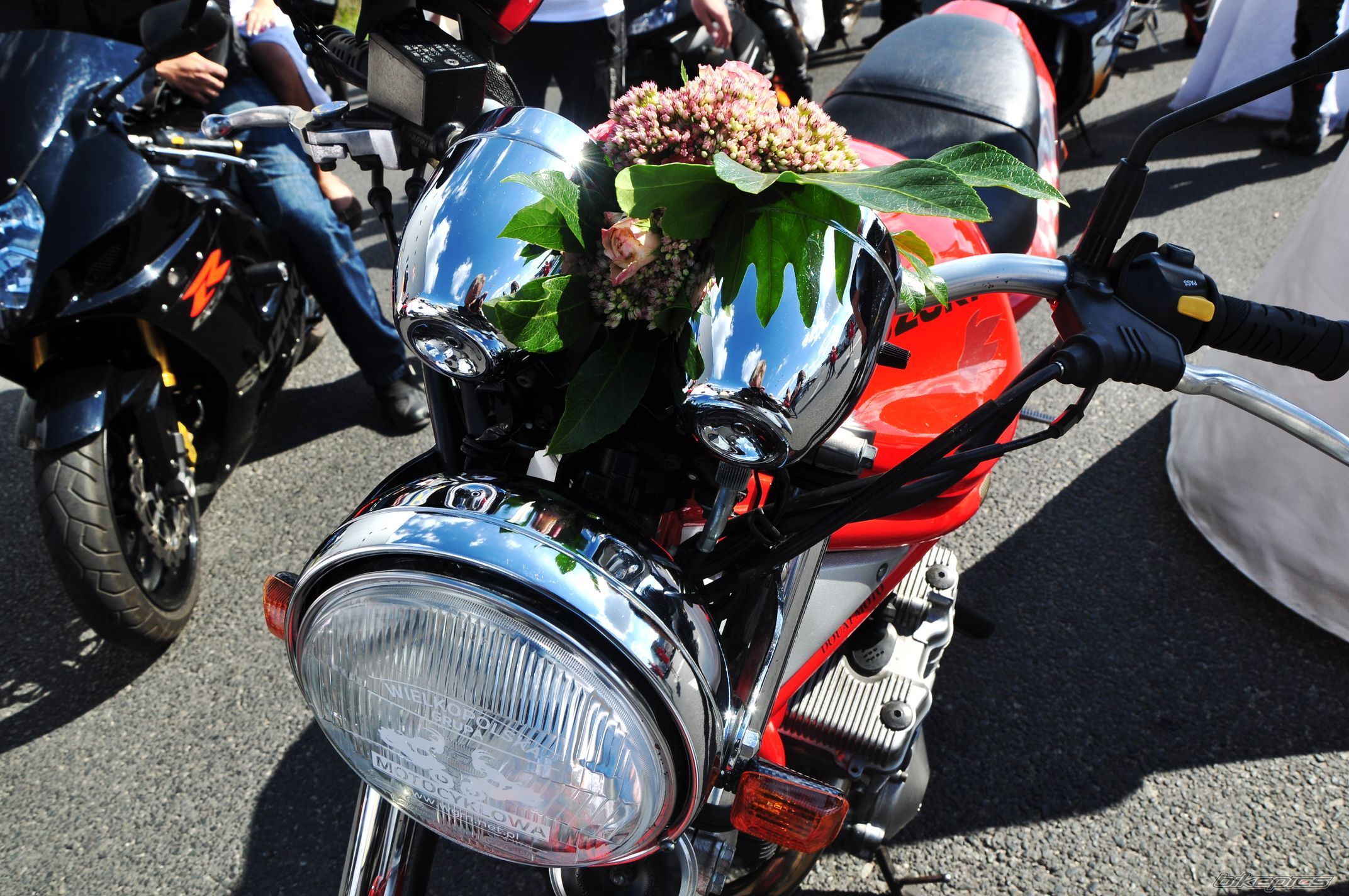 Photo 2661799