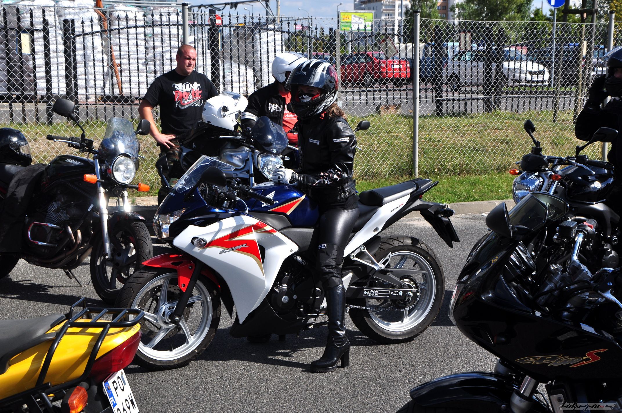 Photo 2661814